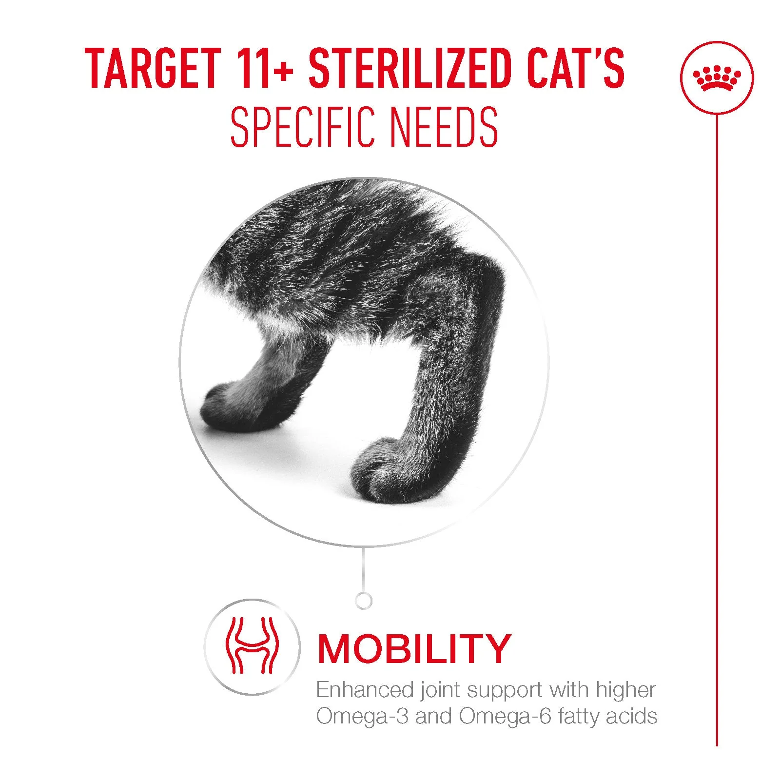 Royal Canin Sterilised Ageing 11+ Senior Dry Cat Food - Image 3