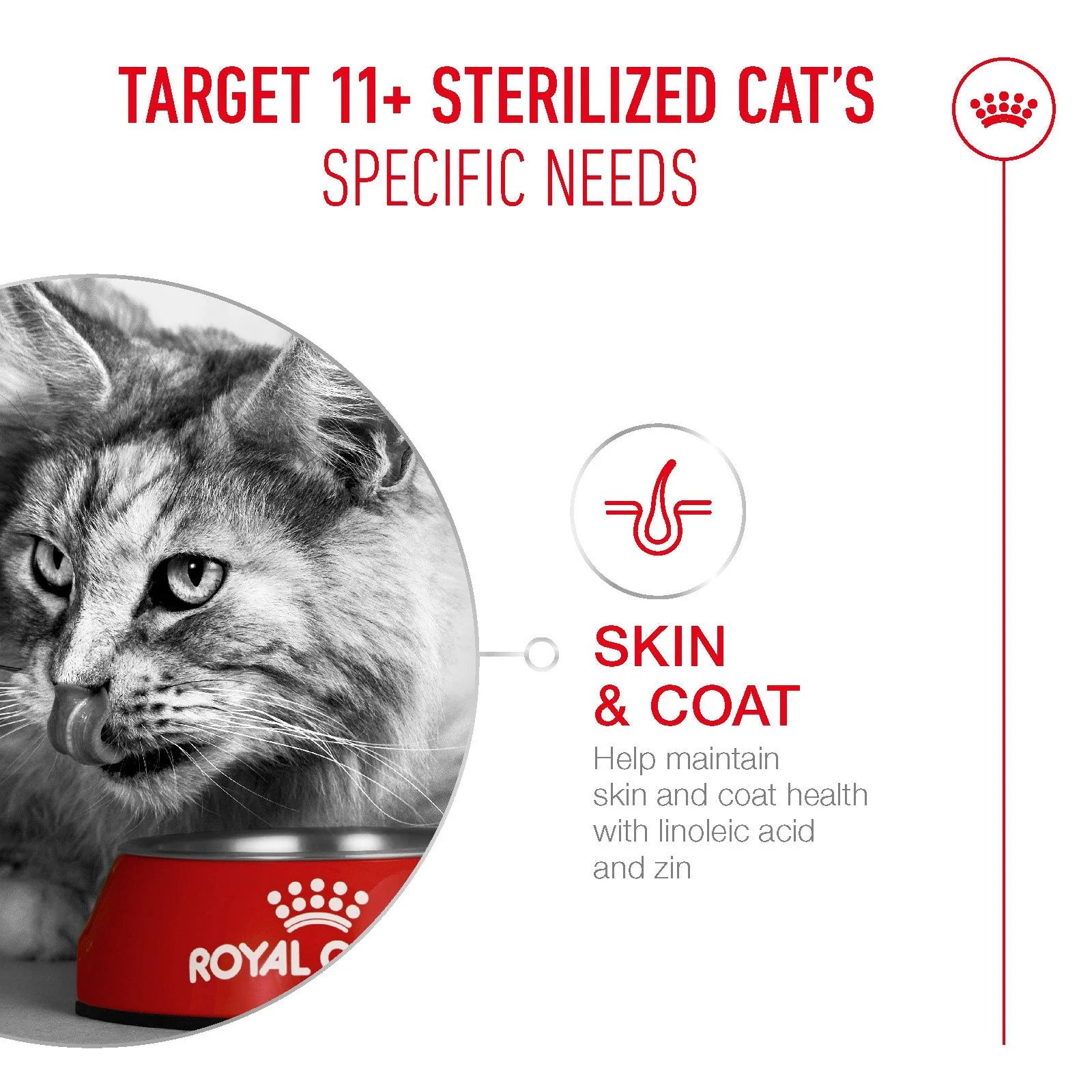 Royal Canin Sterilised Ageing 11+ Senior Dry Cat Food - Image 4