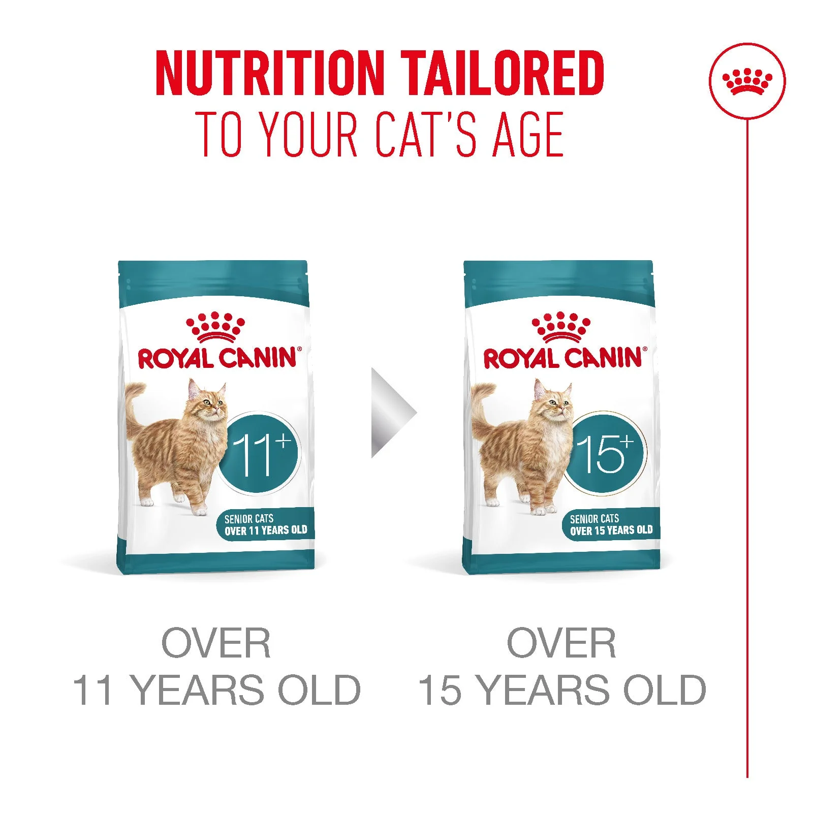 Royal Canin Sterilised Ageing 11+ Senior Dry Cat Food - Image 6