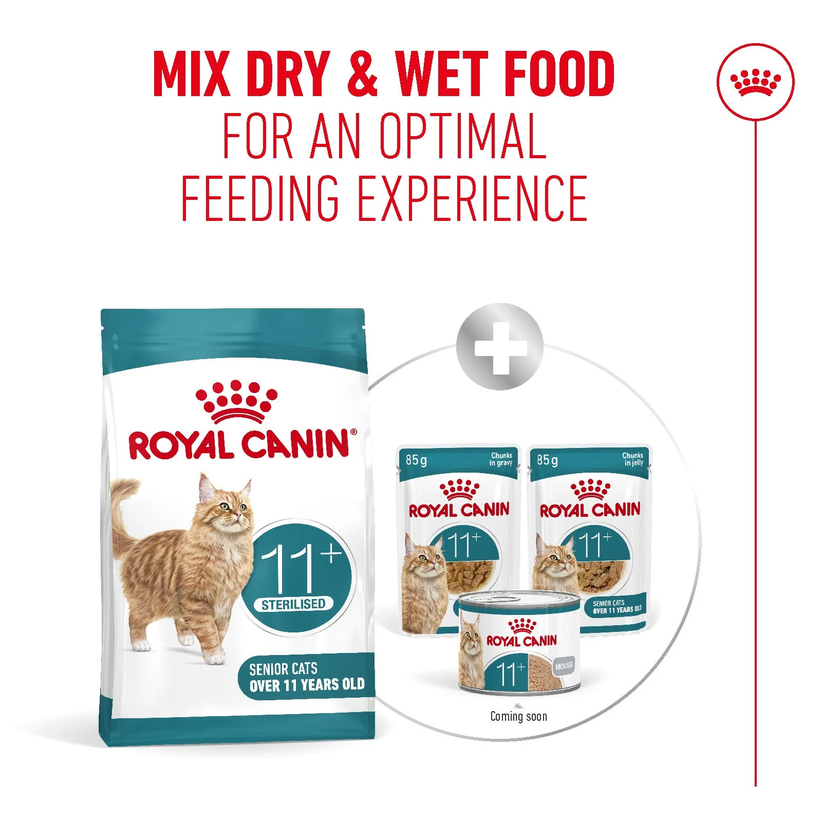 Royal Canin Sterilised Ageing 11+ Senior Dry Cat Food - Image 7