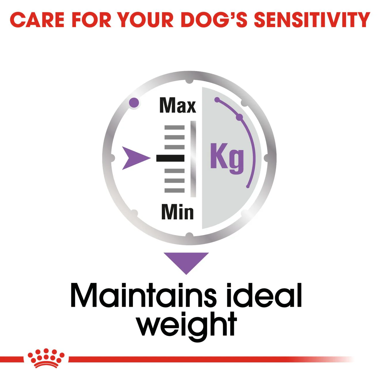 Royal Canin Sterilised Care Adult Wet Dog Food - Image 5