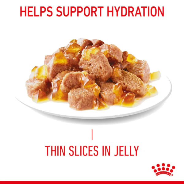 Royal Canin Ultra Light Weight Care Adult Cat Wet Food - Jelly - Image 4