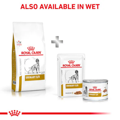 Royal Canin Urinary S/O Adult Dry Dog Food - Image 9