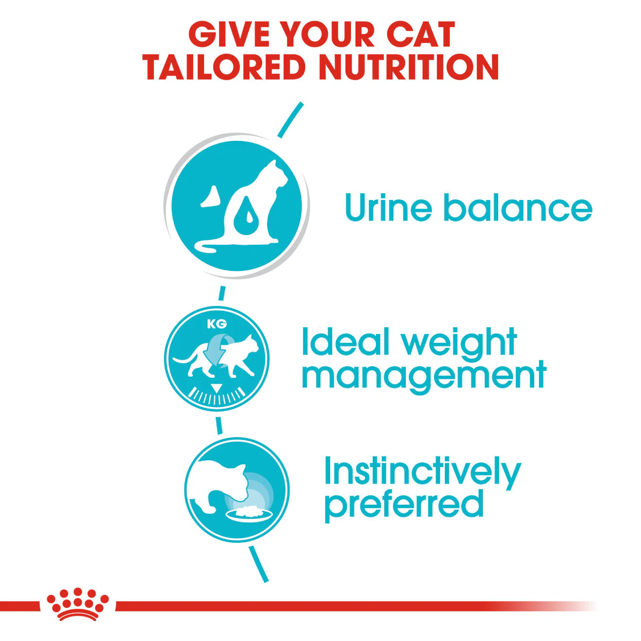 Royal Canin Urinary Care Adult Wet Cat Food - Gravy - Image 4