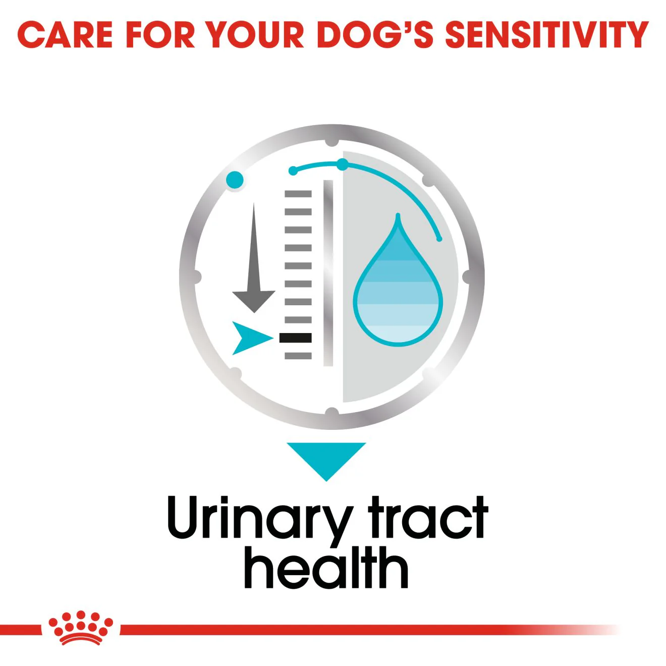 Royal Canin Urinary Care Adult Wet Dog Food Pouches - Image 5