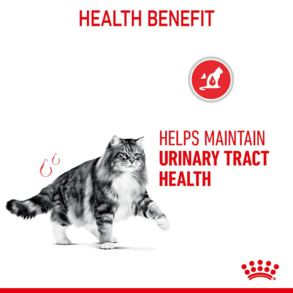 Royal Canin Urinary Care Dry Cat Food - Image 19