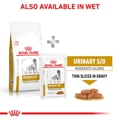 Royal Canin Urinary S/O Moderate Calorie Adult Dry Dog Food - Image 8