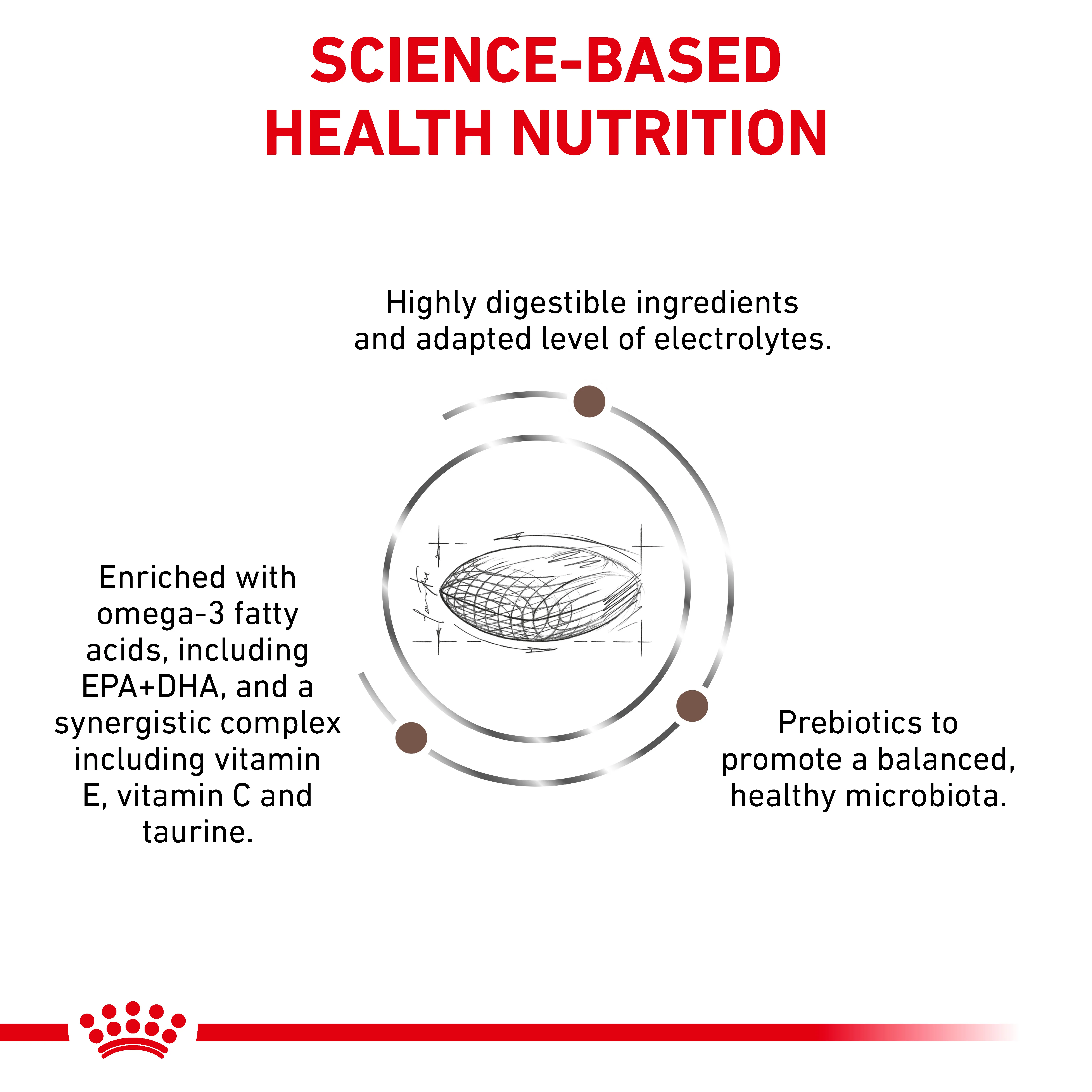 Royal Canin Gastrointestinal Hairball Adult Dry Cat Food - Image 2