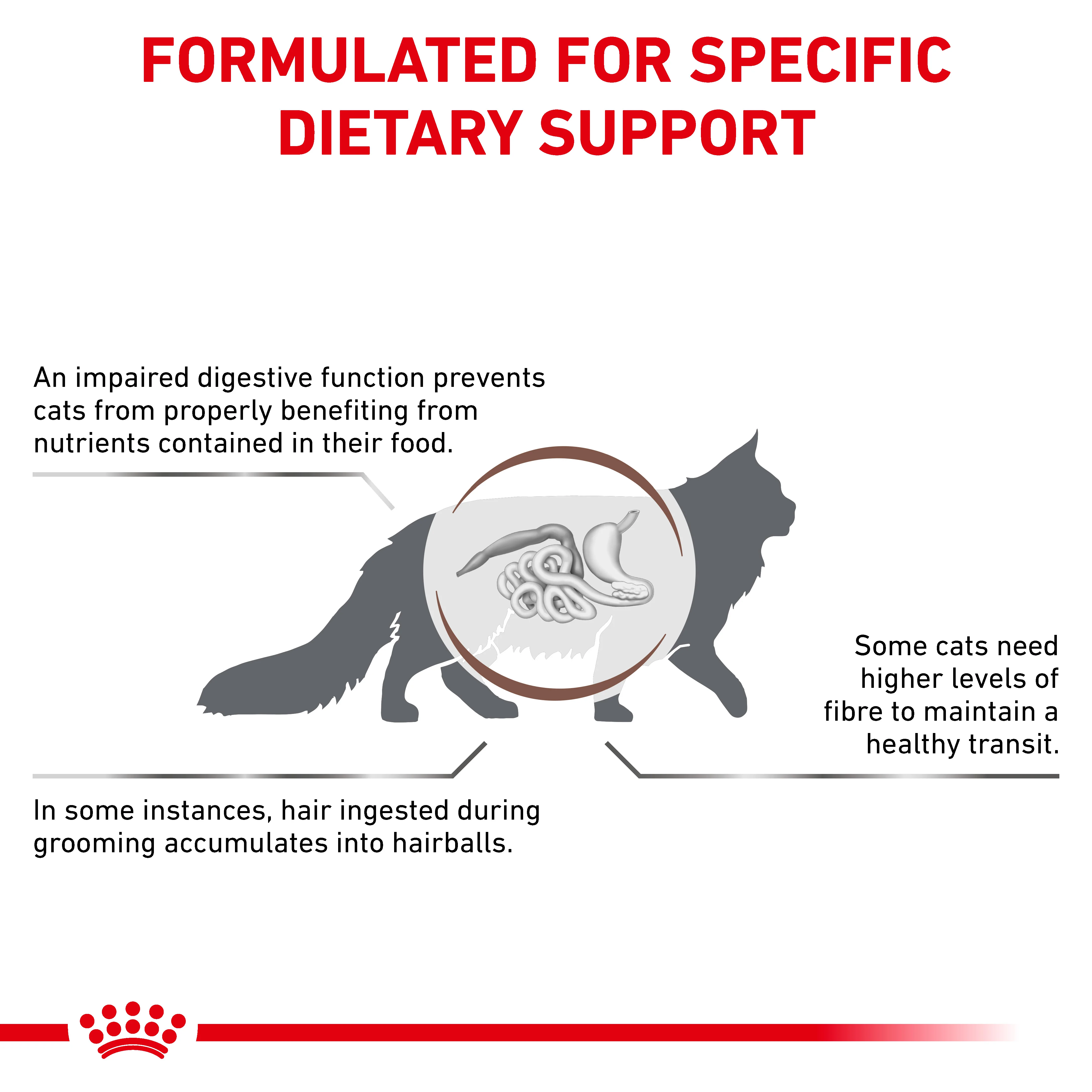 Royal Canin Gastrointestinal Hairball Adult Dry Cat Food - Image 3