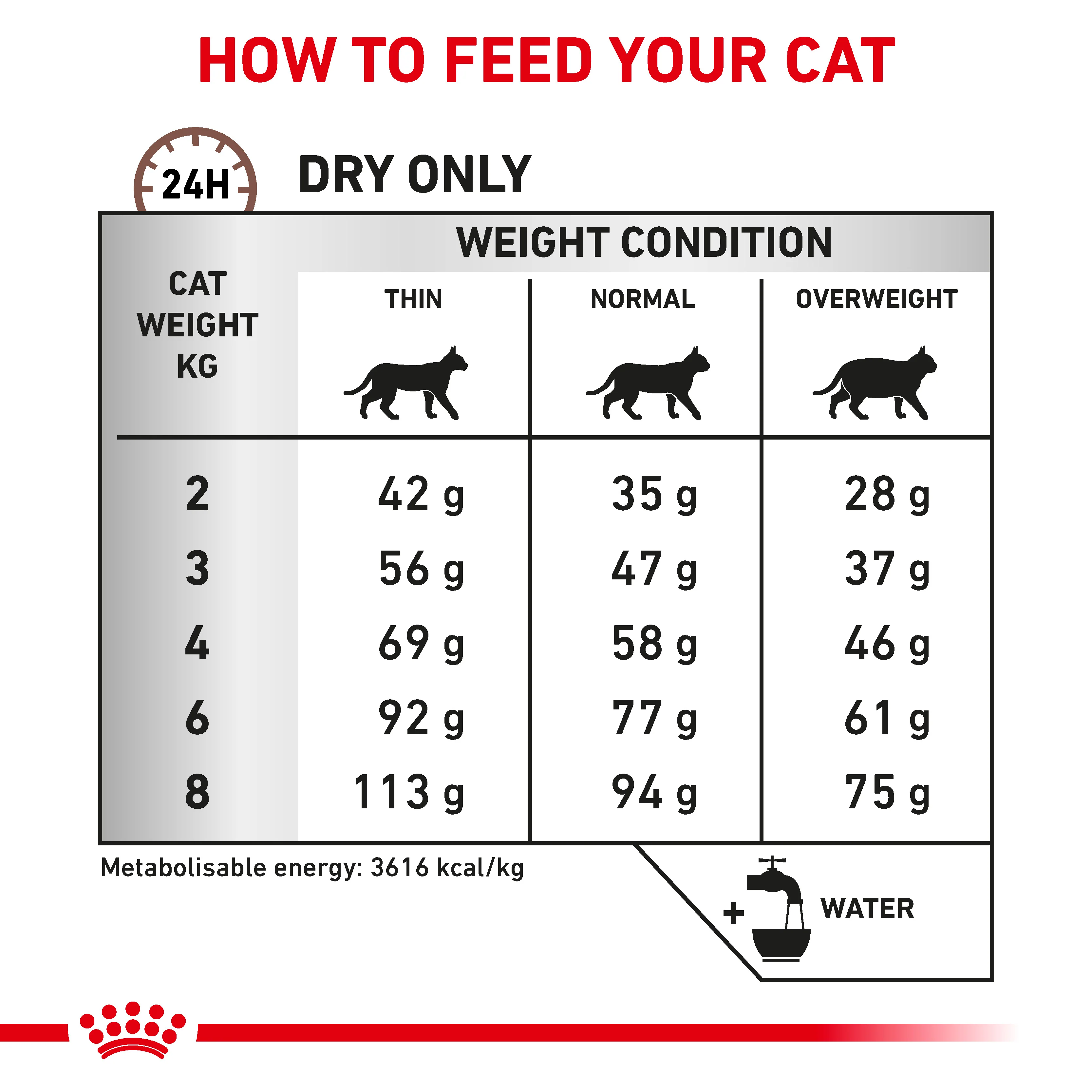 Royal Canin Gastrointestinal Hairball Adult Dry Cat Food - Image 6