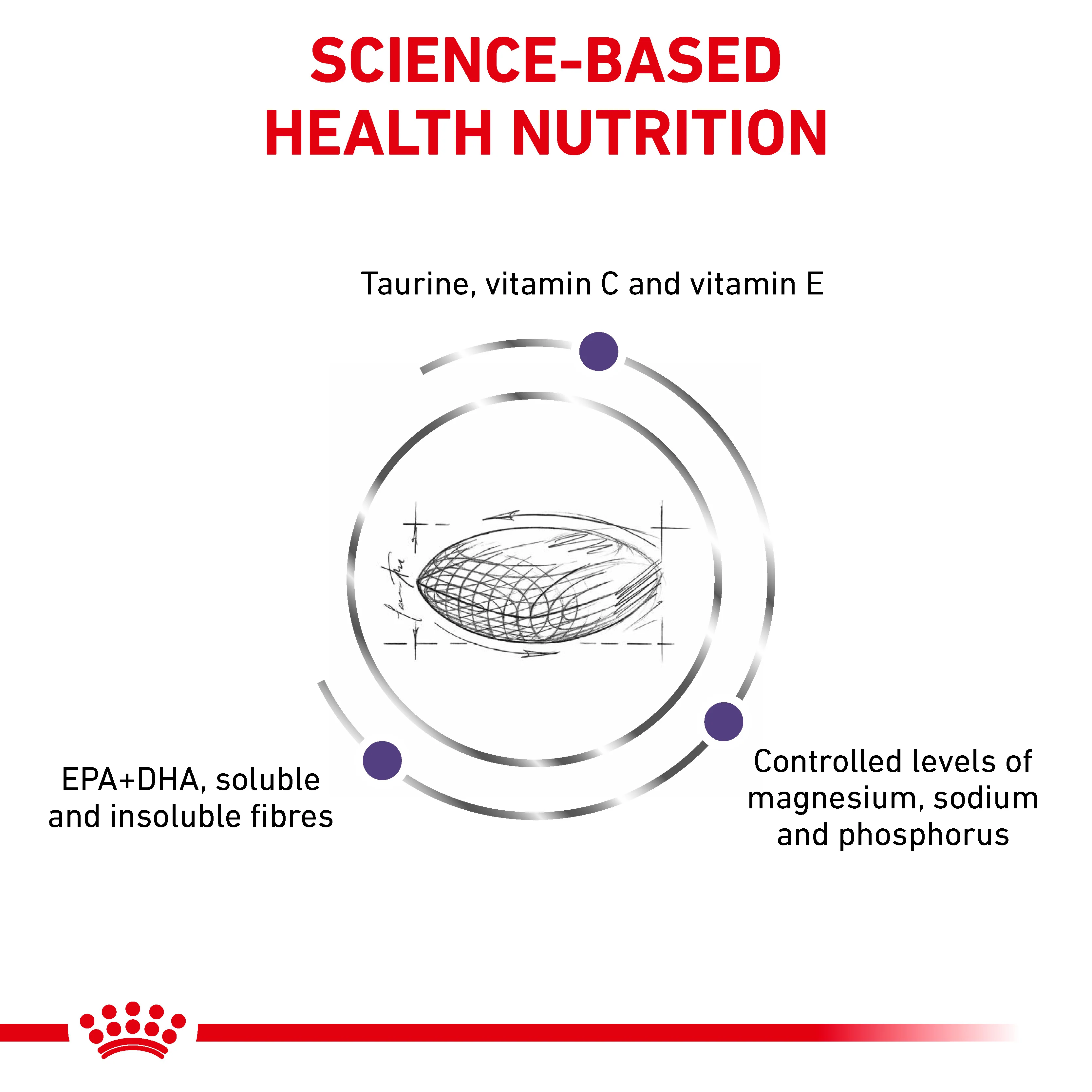 Royal Canin Adult Dry Cat Food - Image 3