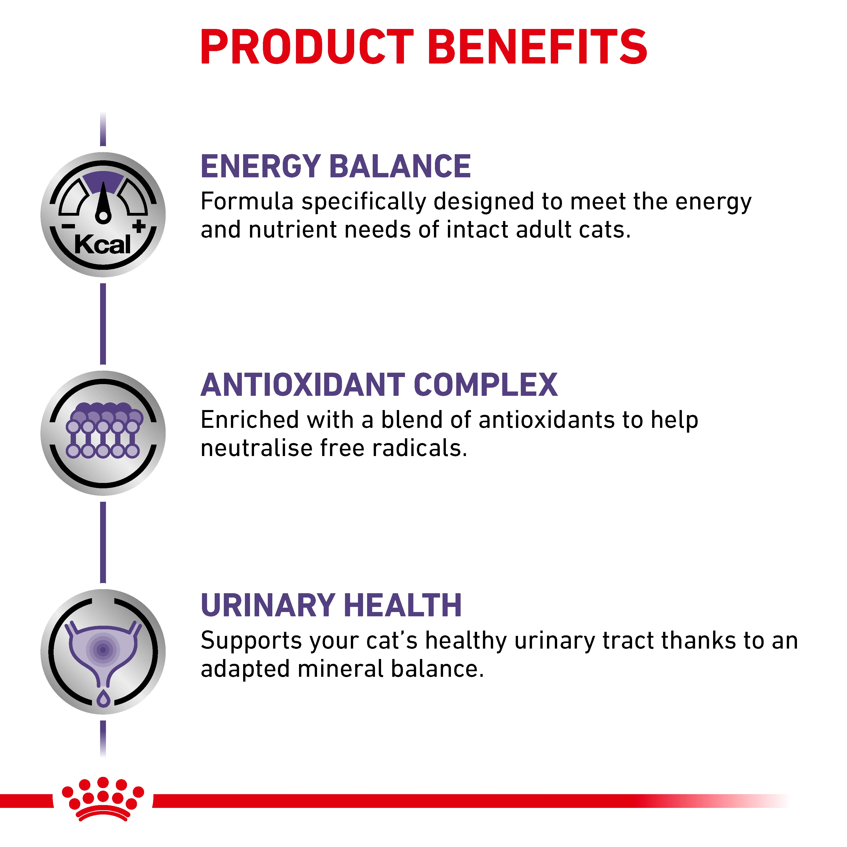 Royal Canin Adult Dry Cat Food - Image 4