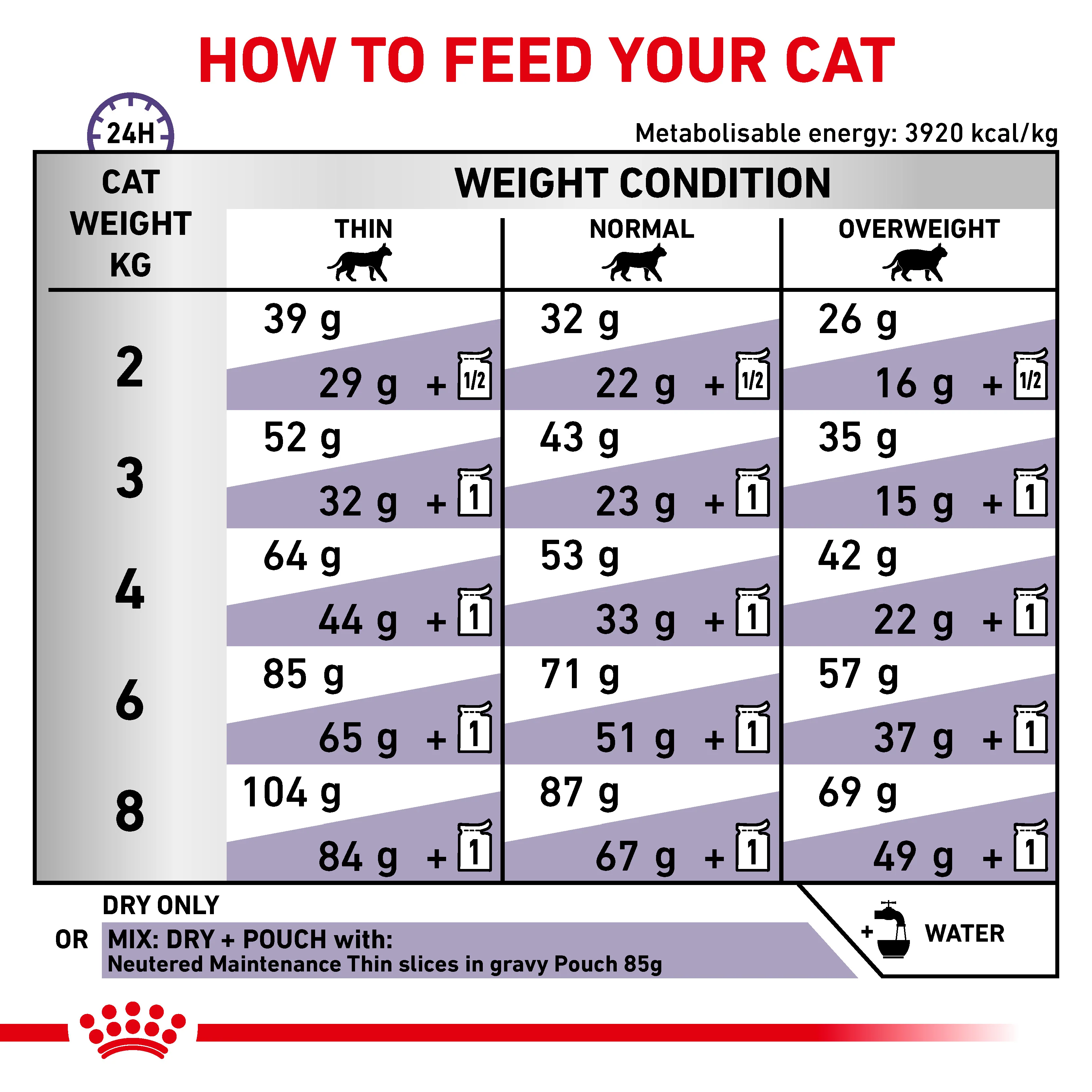 Royal Canin Adult Dry Cat Food - Image 5