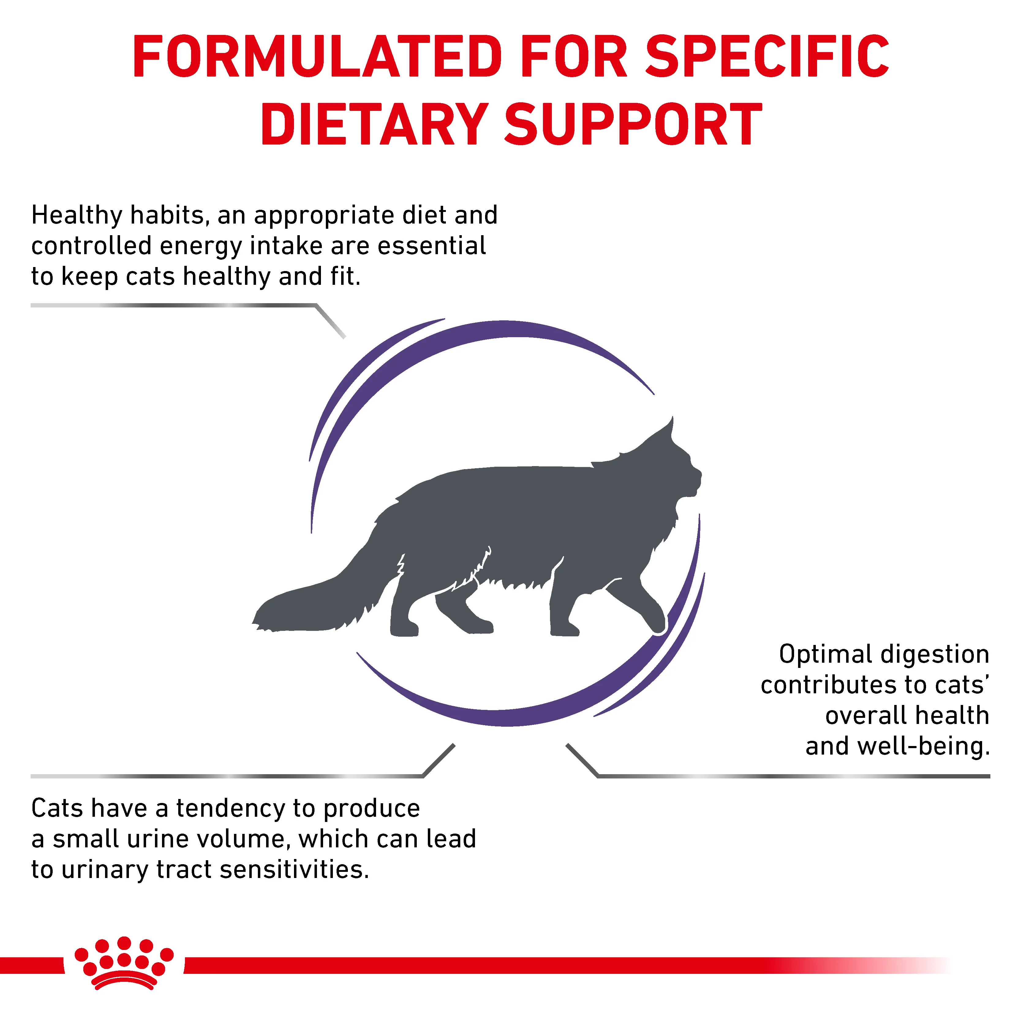 Royal Canin Adult Dry Cat Food - Image 8