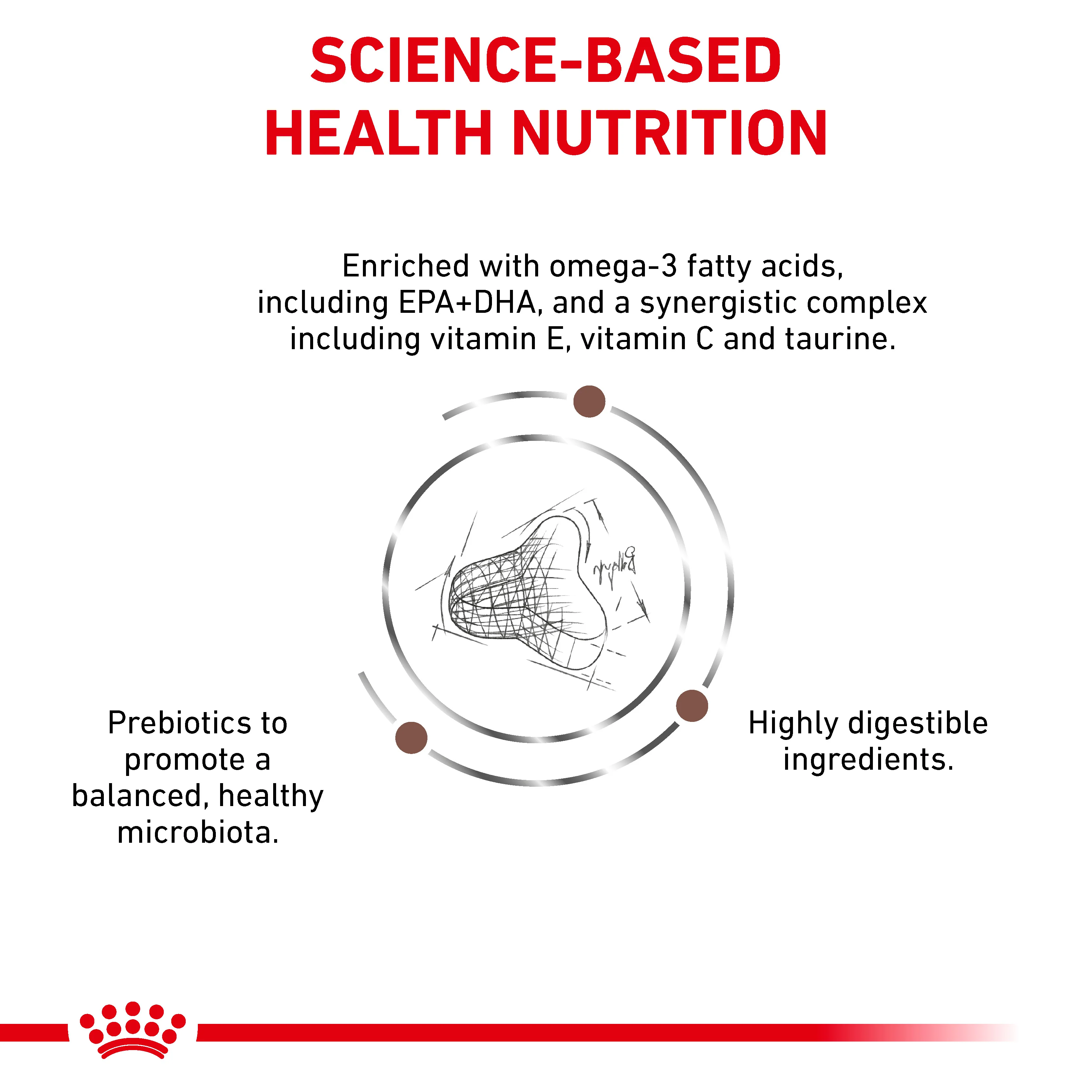Royal Canin Gastrointestinal Fibre Response Adult Dry Cat Food - Image 3