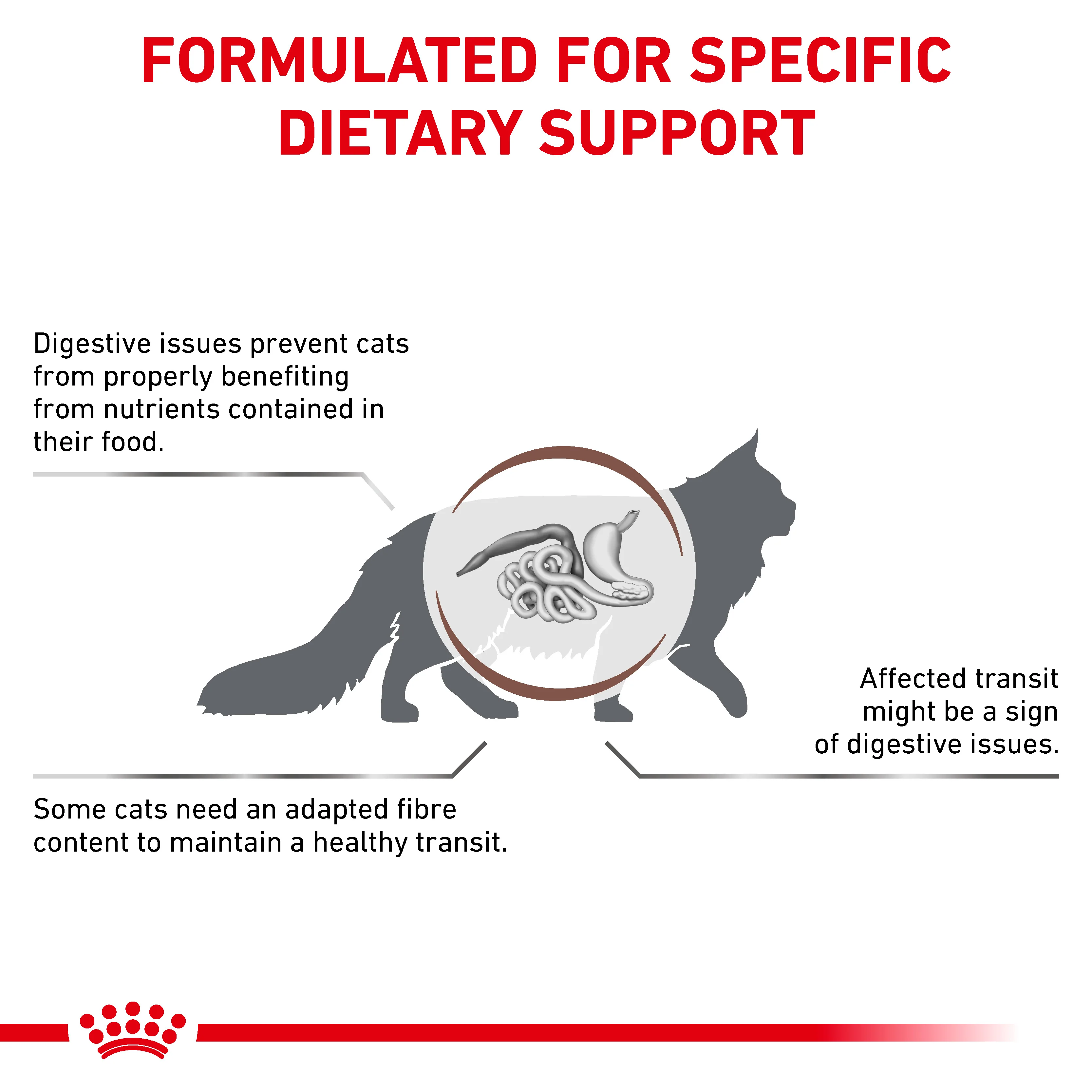 Royal Canin Gastrointestinal Fibre Response Adult Dry Cat Food - Image 4