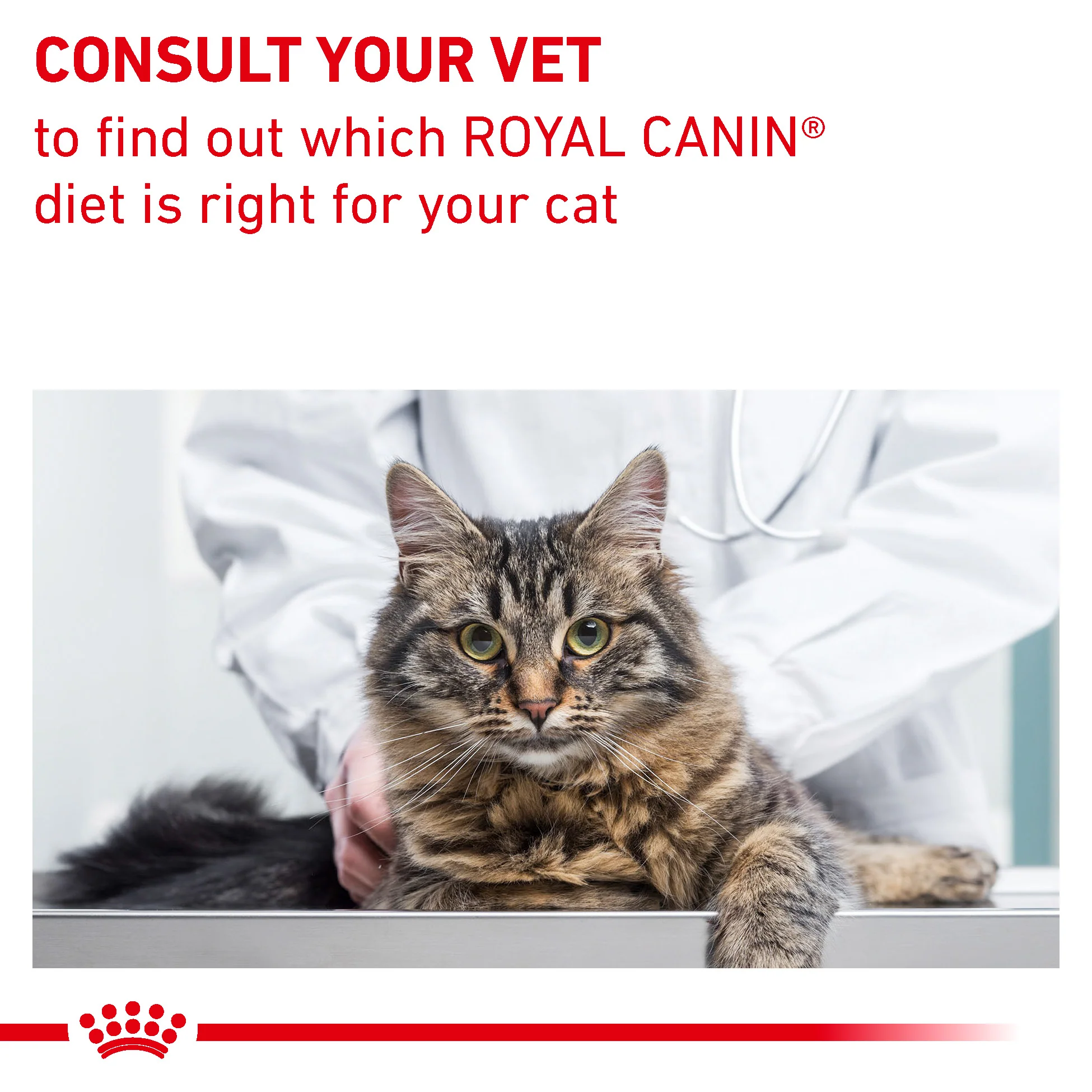 Royal Canin Gastrointestinal Fibre Response Adult Dry Cat Food - Image 9