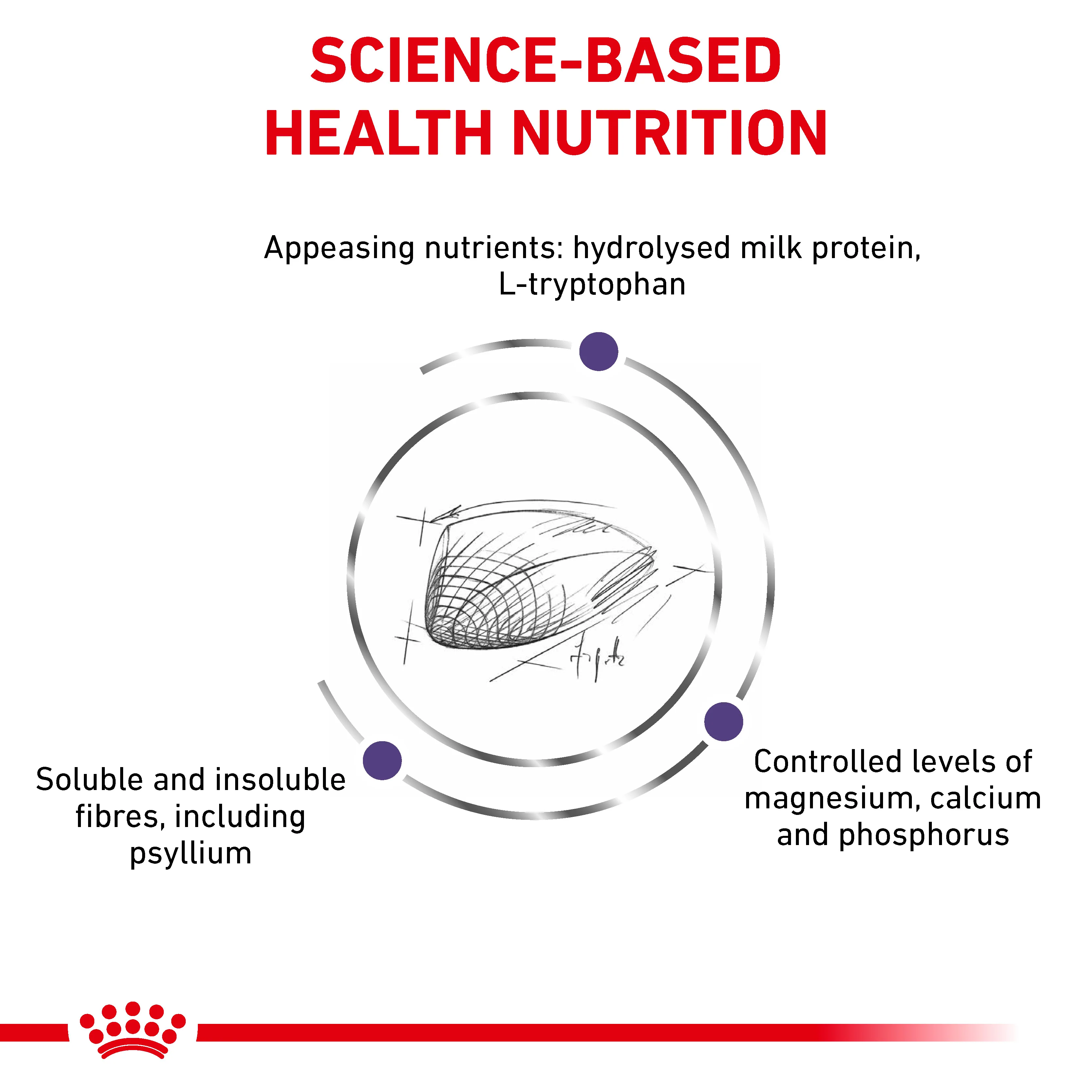 Royal Canin Calm Adult Dry Cat Food - Image 4