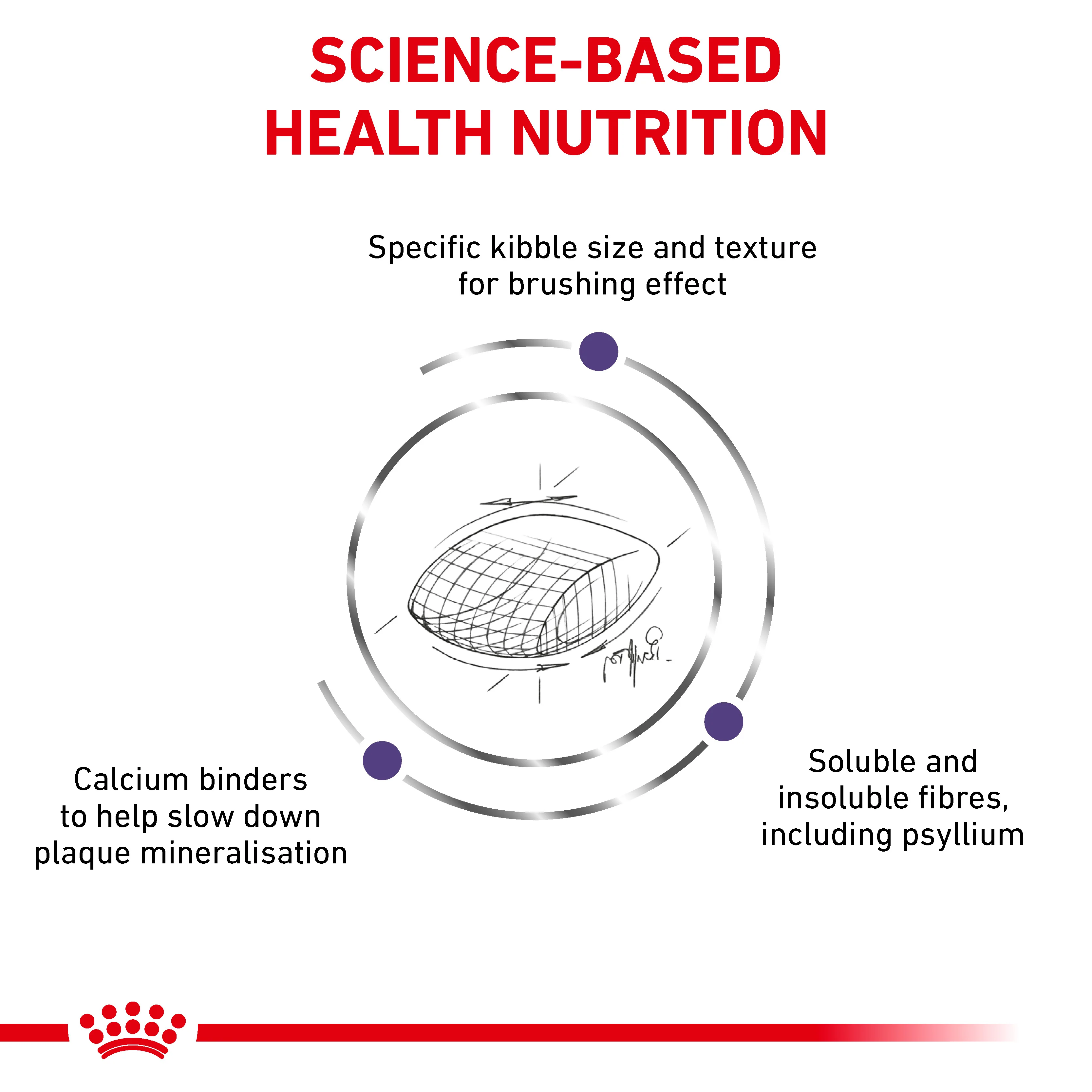 Royal Canin Dental Adult Dry Cat Food - Image 3