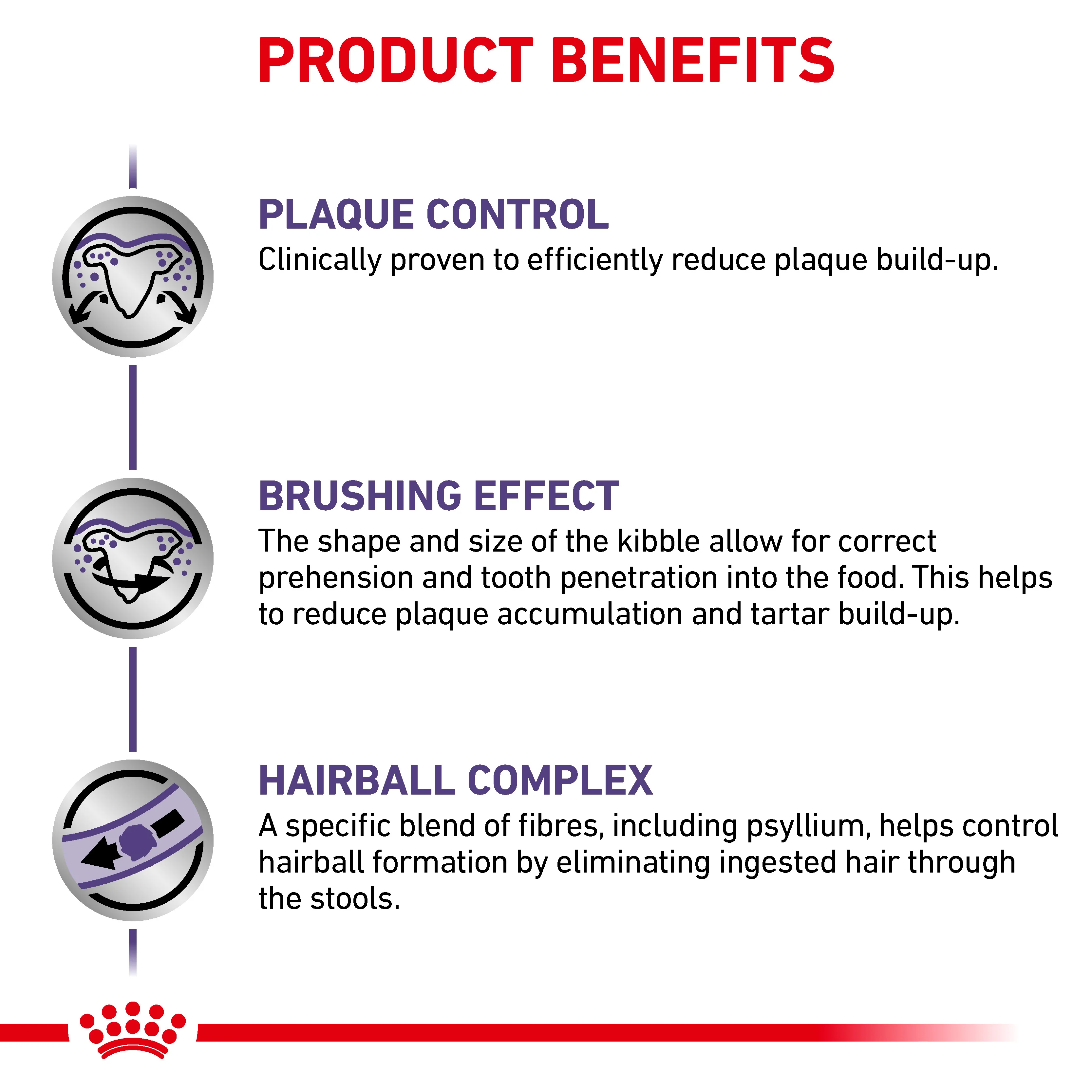 Royal Canin Dental Adult Dry Cat Food - Image 8