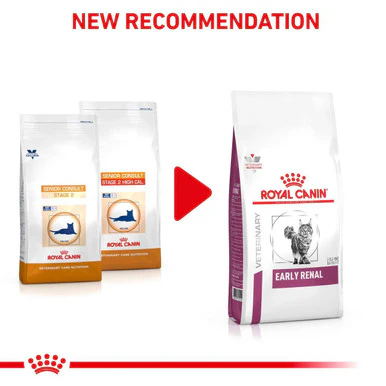 Royal Canin Veterinary Diet Early Renal Adult Dry Cat Food - Image 2