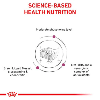 Royal Canin Veterinary Diet Early Renal Adult Dry Cat Food - Image 5