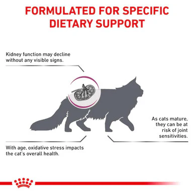 Royal Canin Veterinary Diet Early Renal Adult Dry Cat Food - Image 7