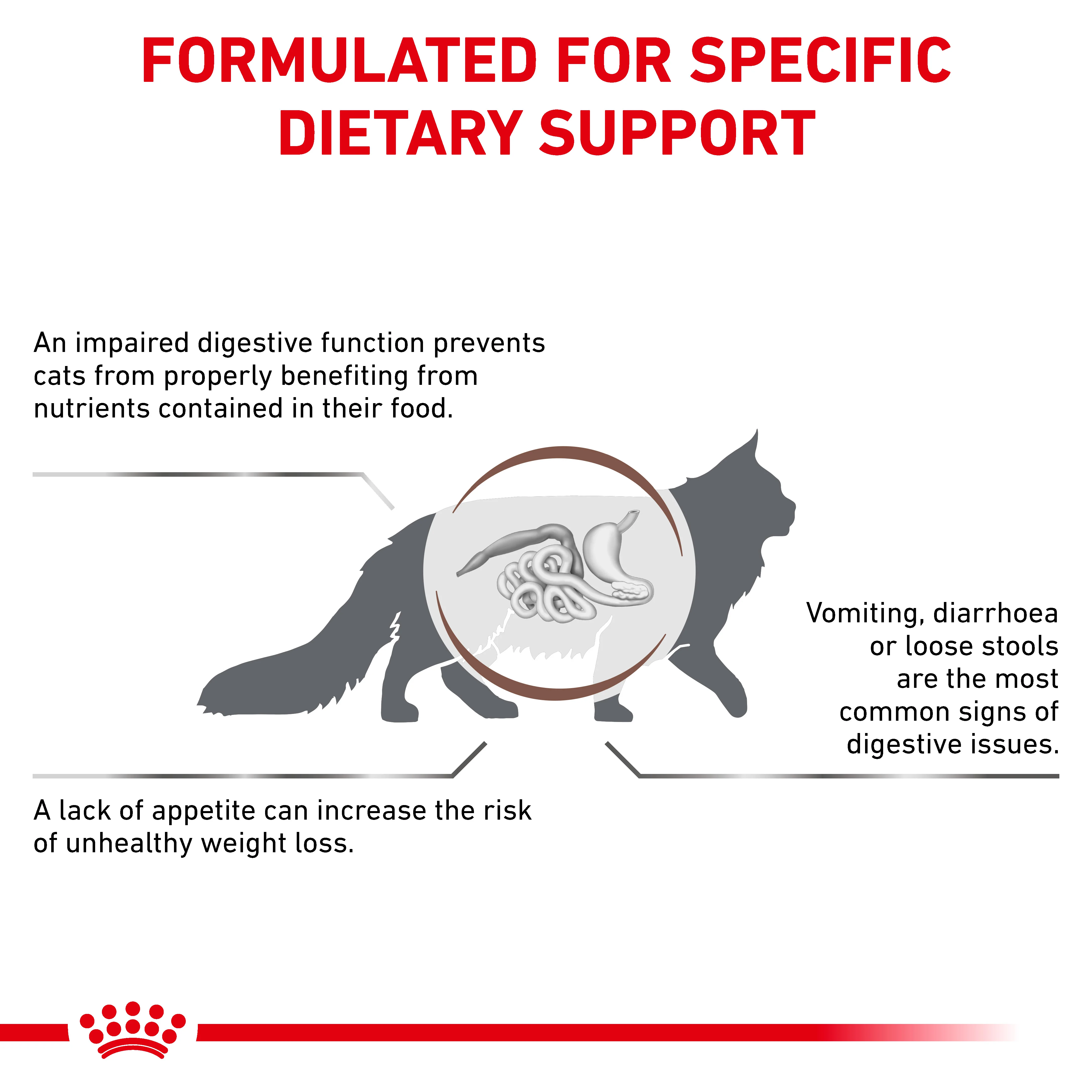 Royal Canin Gastrointestinal Adult Dry Cat Food - Image 2