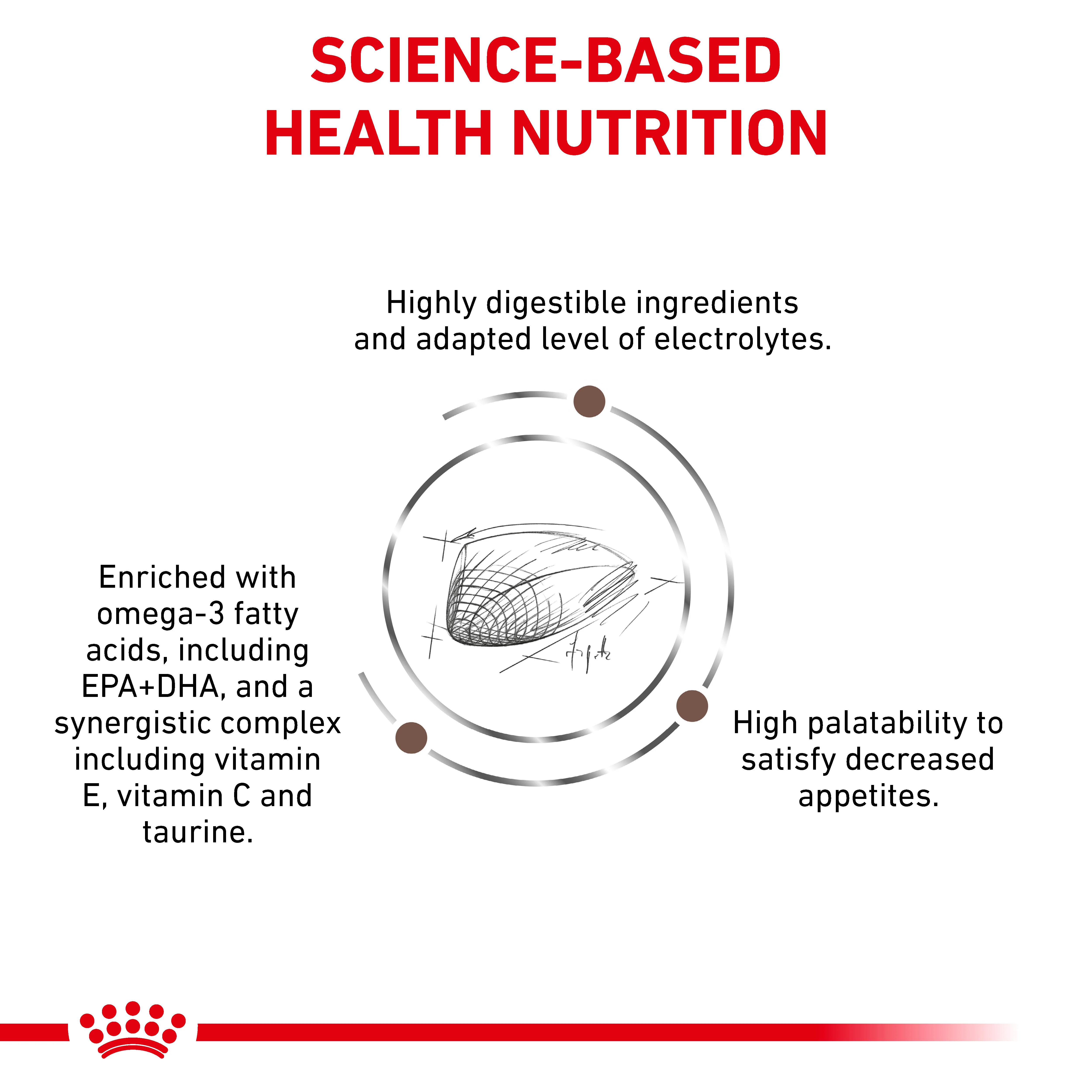 Royal Canin Gastrointestinal Adult Dry Cat Food - Image 3