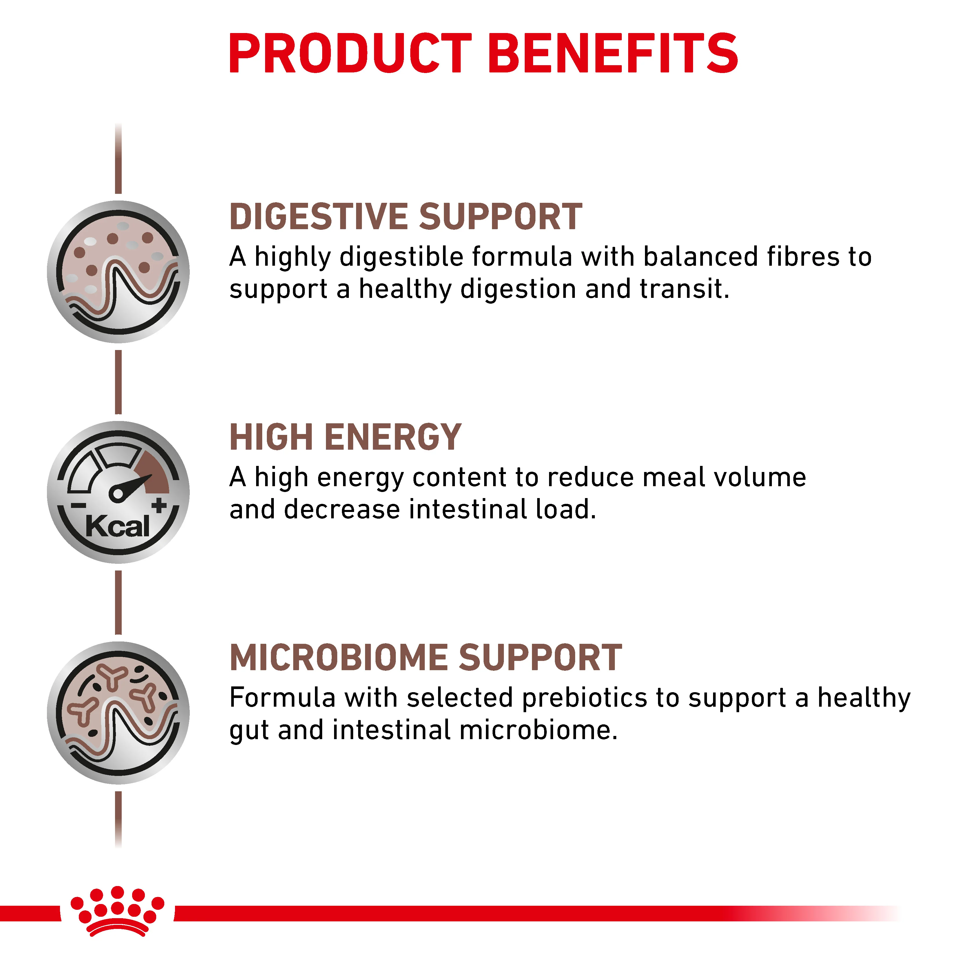 Royal Canin Gastrointestinal Adult Dry Cat Food - Image 5