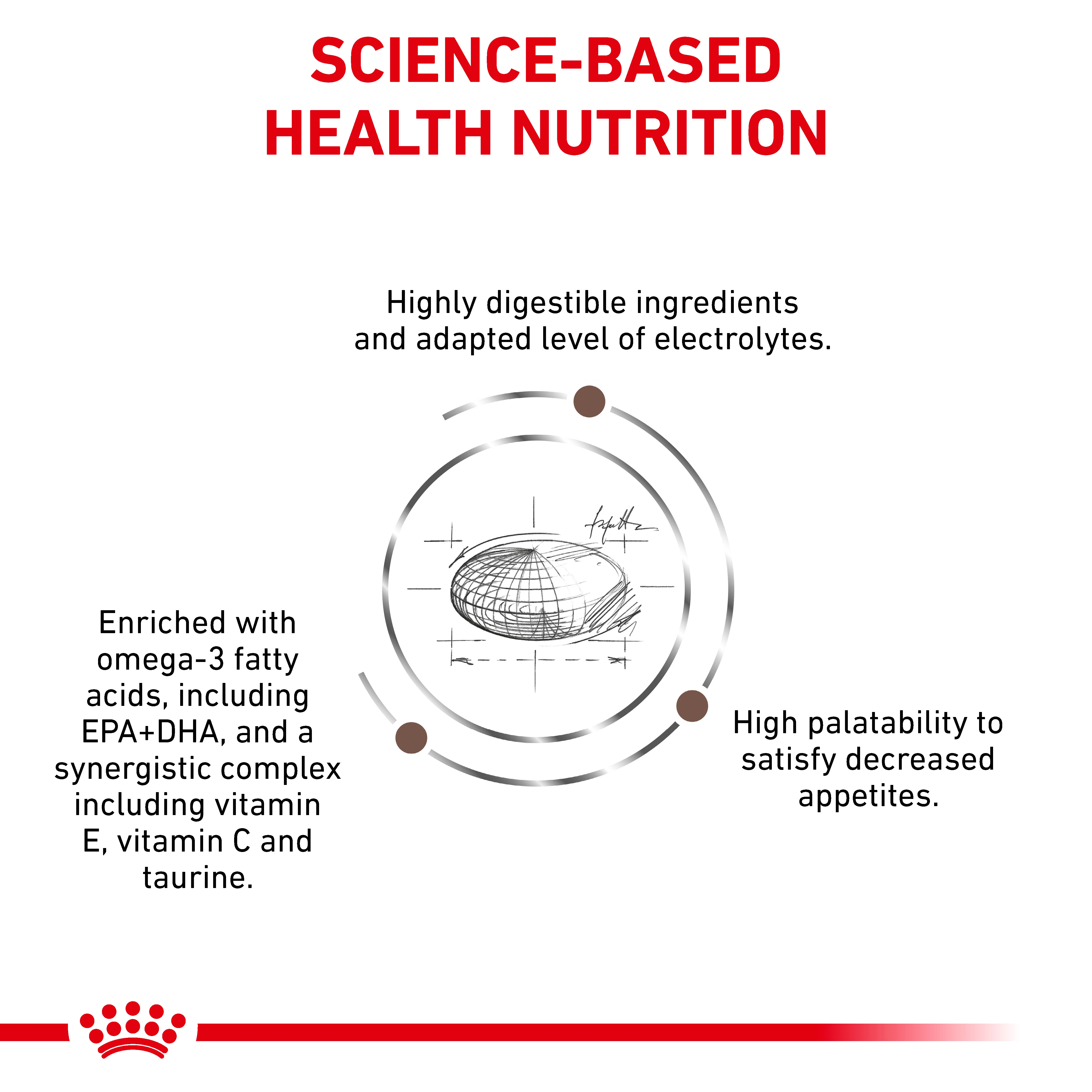 Royal Canin Gastrointestinal Moderate Calorie Adult Dry Cat Food - Image 2
