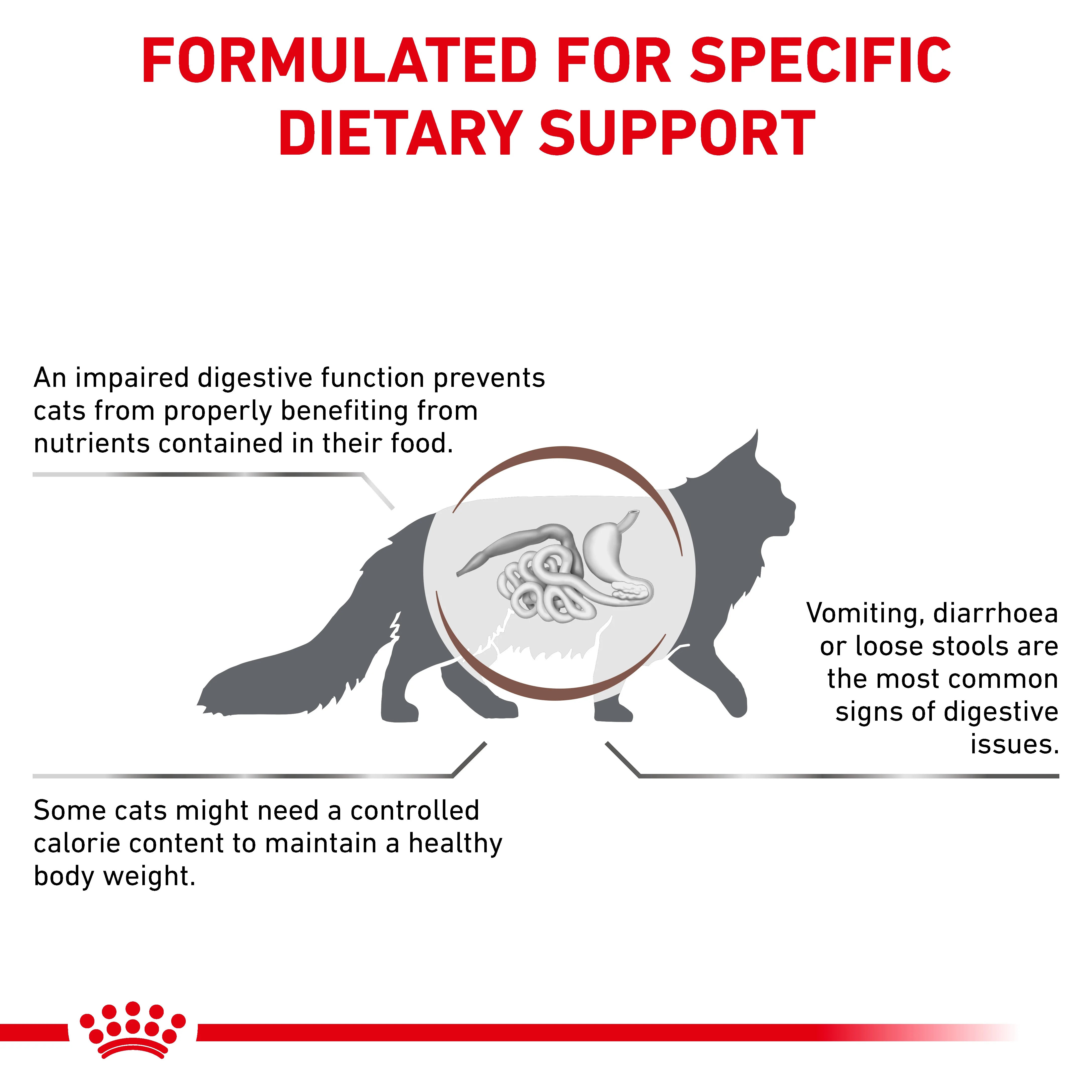 Royal Canin Gastrointestinal Moderate Calorie Adult Dry Cat Food - Image 5