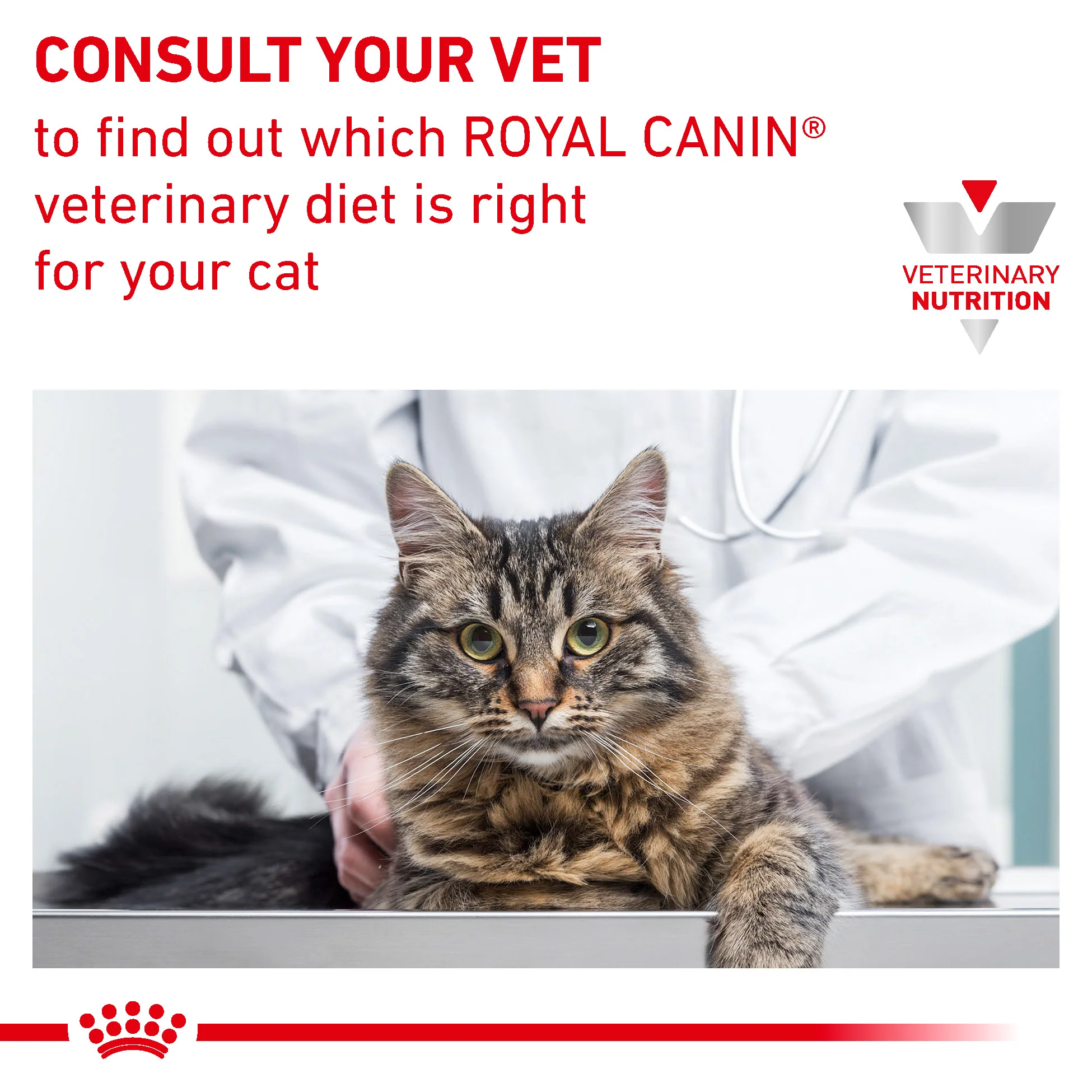 Royal Canin Gastrointestinal Moderate Calorie Adult Dry Cat Food - Image 9