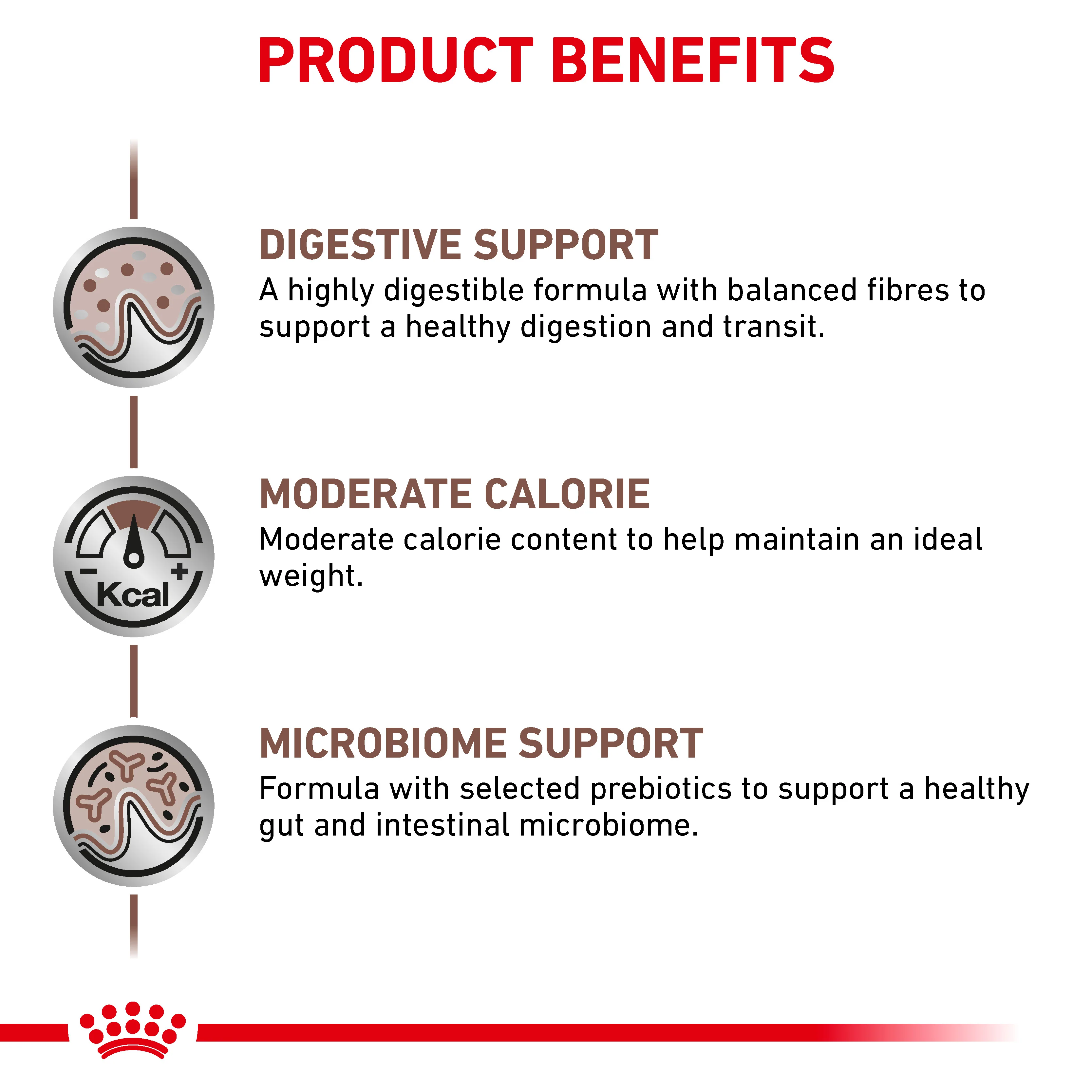 Royal Canin Gastrointestinal Moderate Calorie Thin Slices in Gravy Adult Wet Cat Food 12 x 85g - Image 3