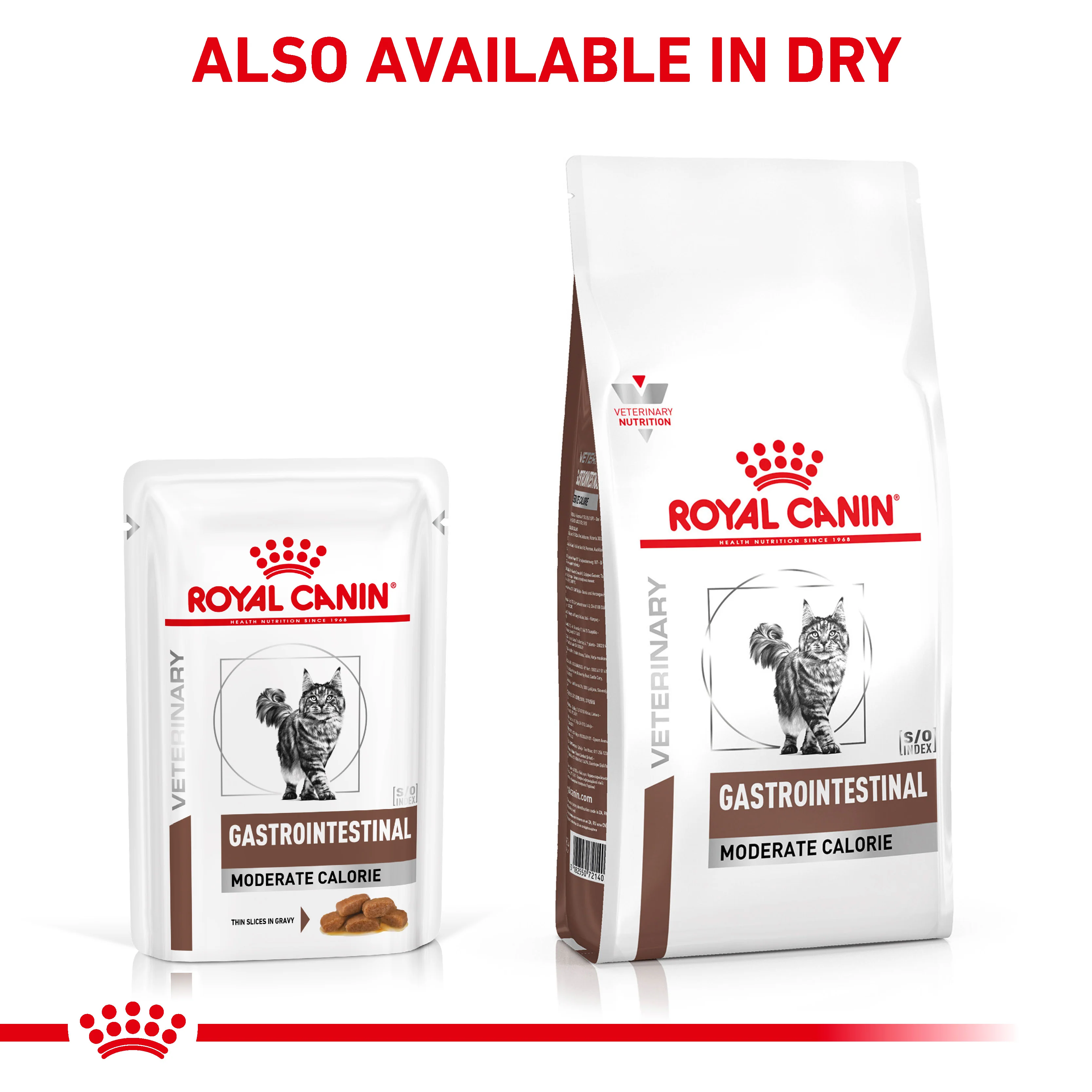 Royal Canin Gastrointestinal Moderate Calorie Thin Slices in Gravy Adult Wet Cat Food 12 x 85g - Image 7