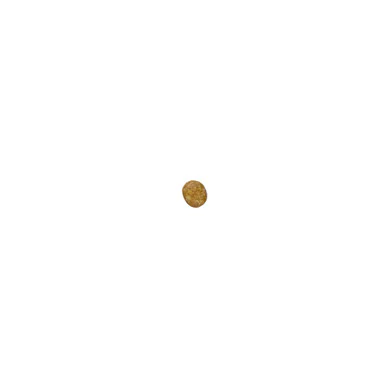 Royal Canin Veterinary Diet RF 23 Renal Adult Dry Cat Food - Image 2