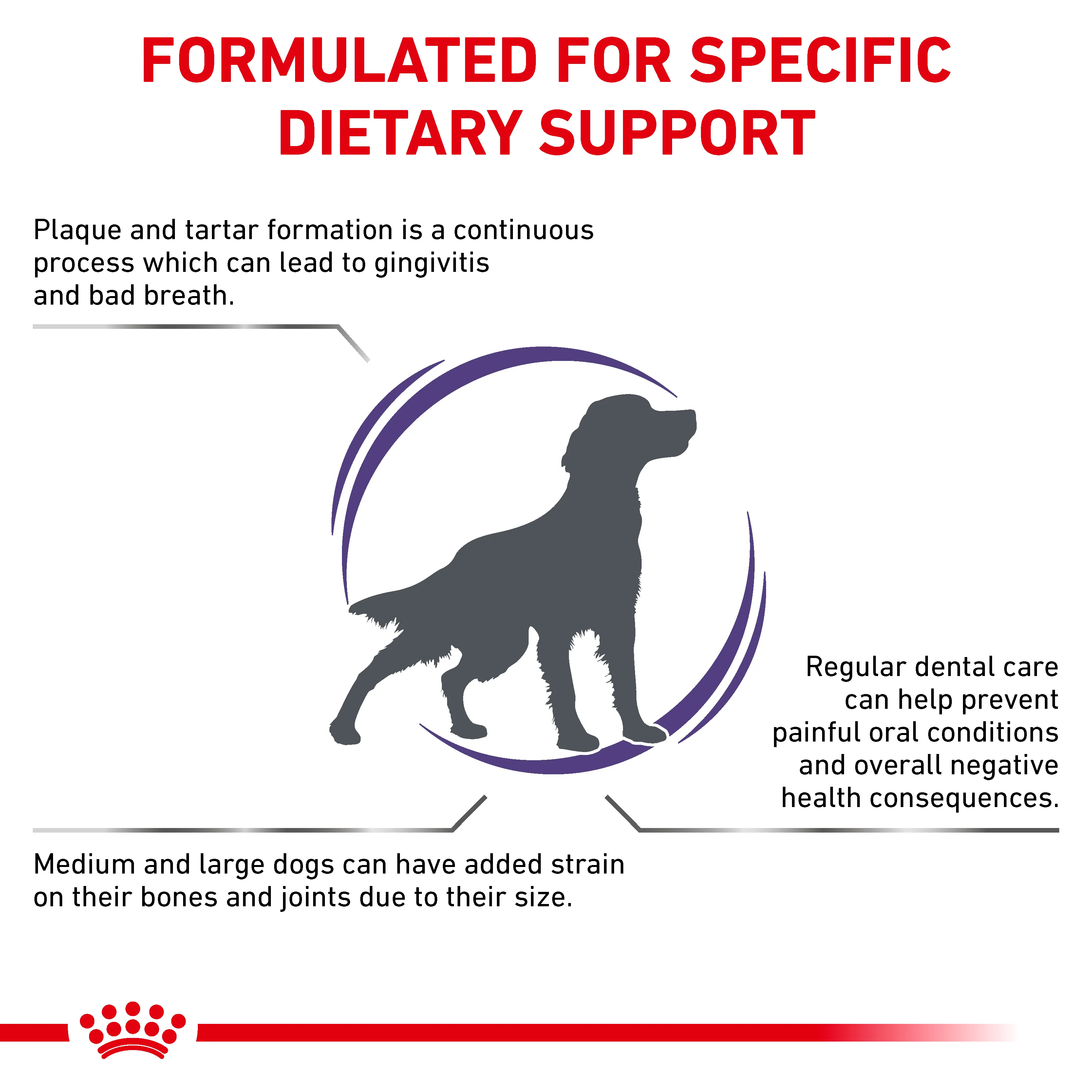 Royal Canin Dental Medium & Large Dog Adult Dry Dog Food - Image 5