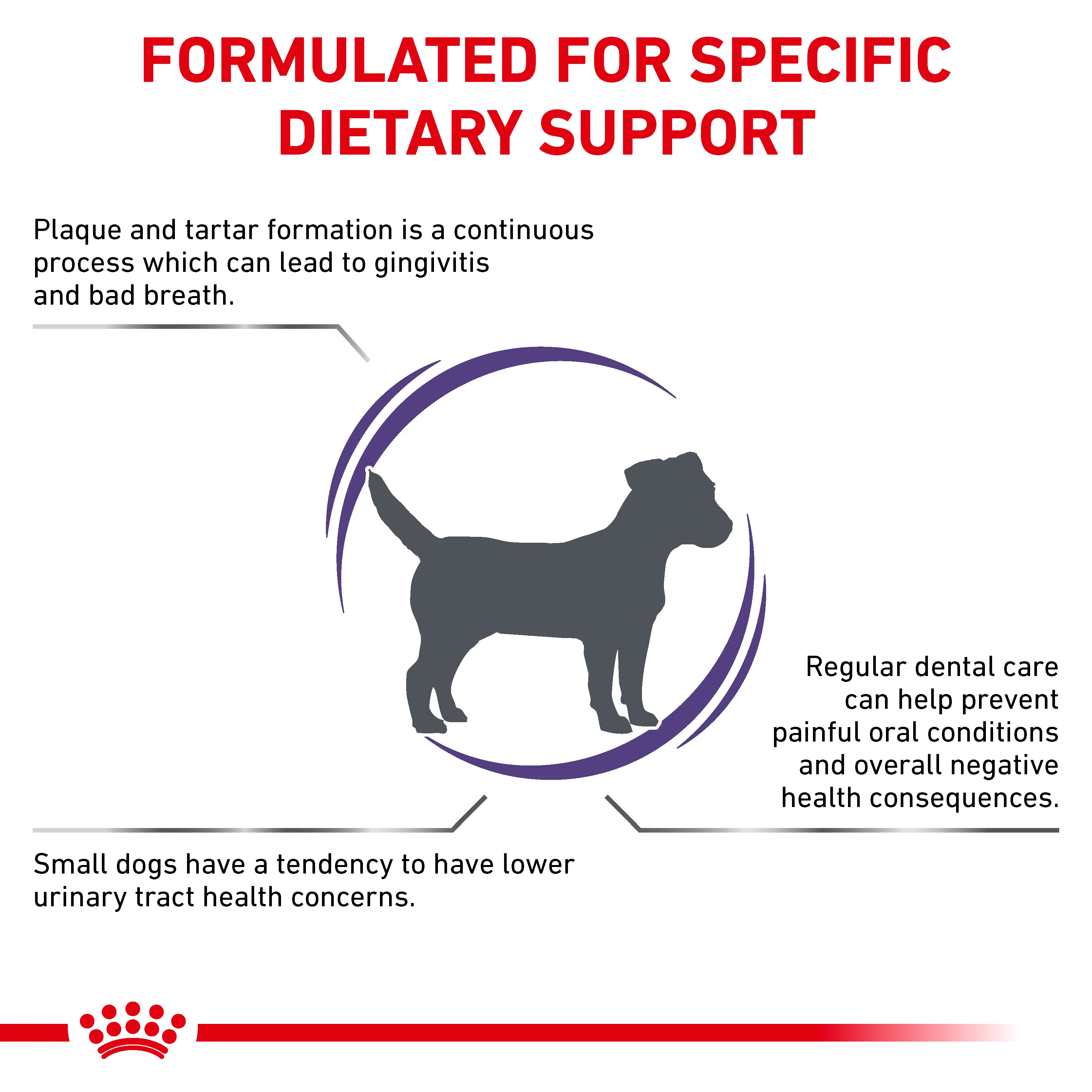 Royal Canin Dental Small Dog Adult Dry Dog Food - Image 3