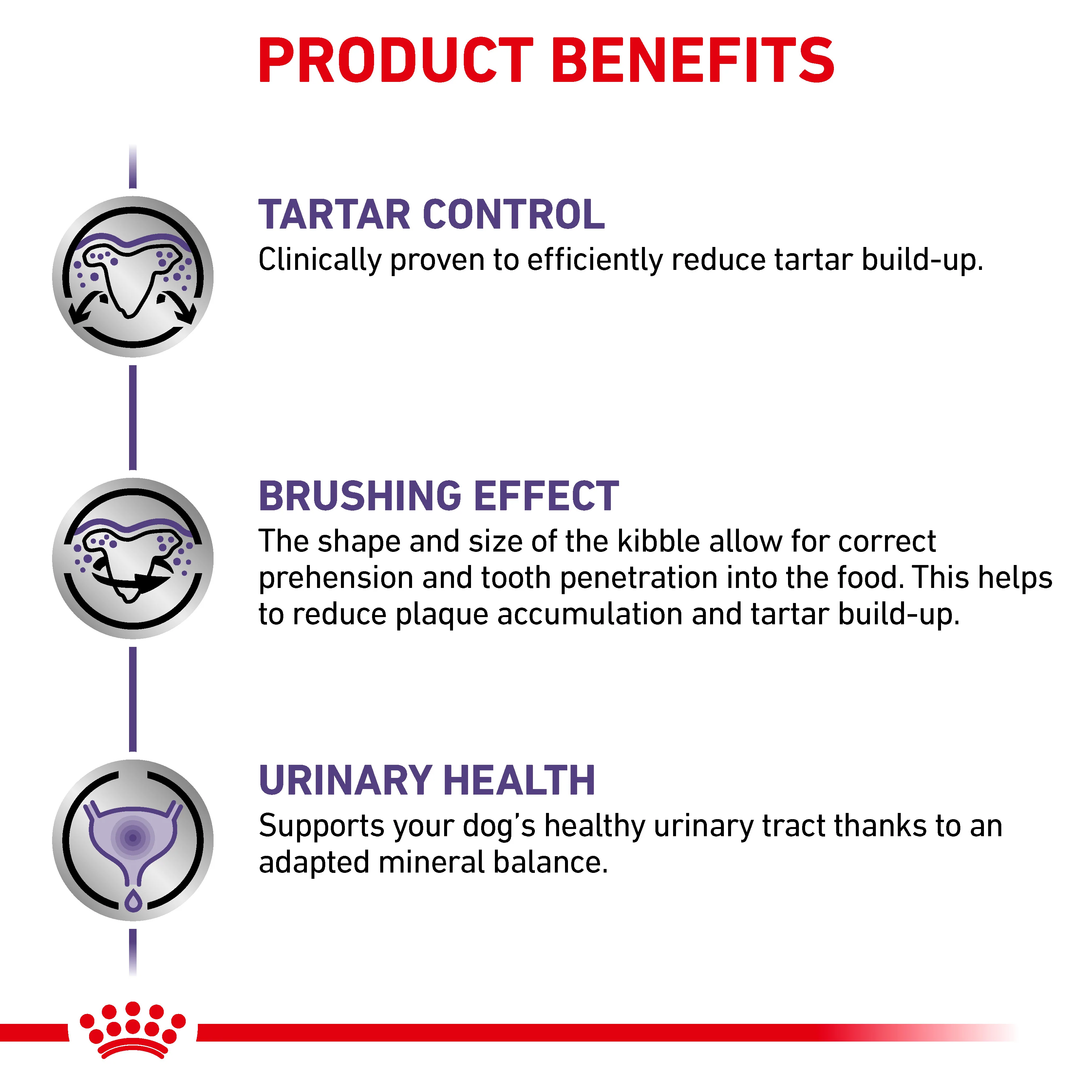 Royal Canin Dental Small Dog Adult Dry Dog Food - Image 5