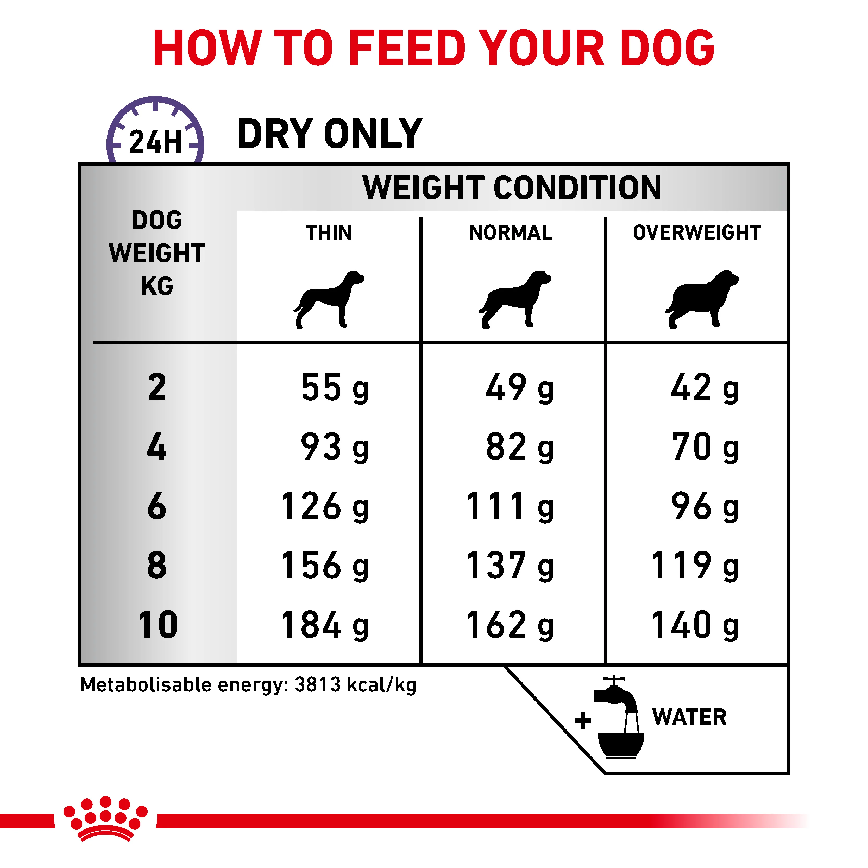 Royal Canin Dental Small Dog Adult Dry Dog Food - Image 6