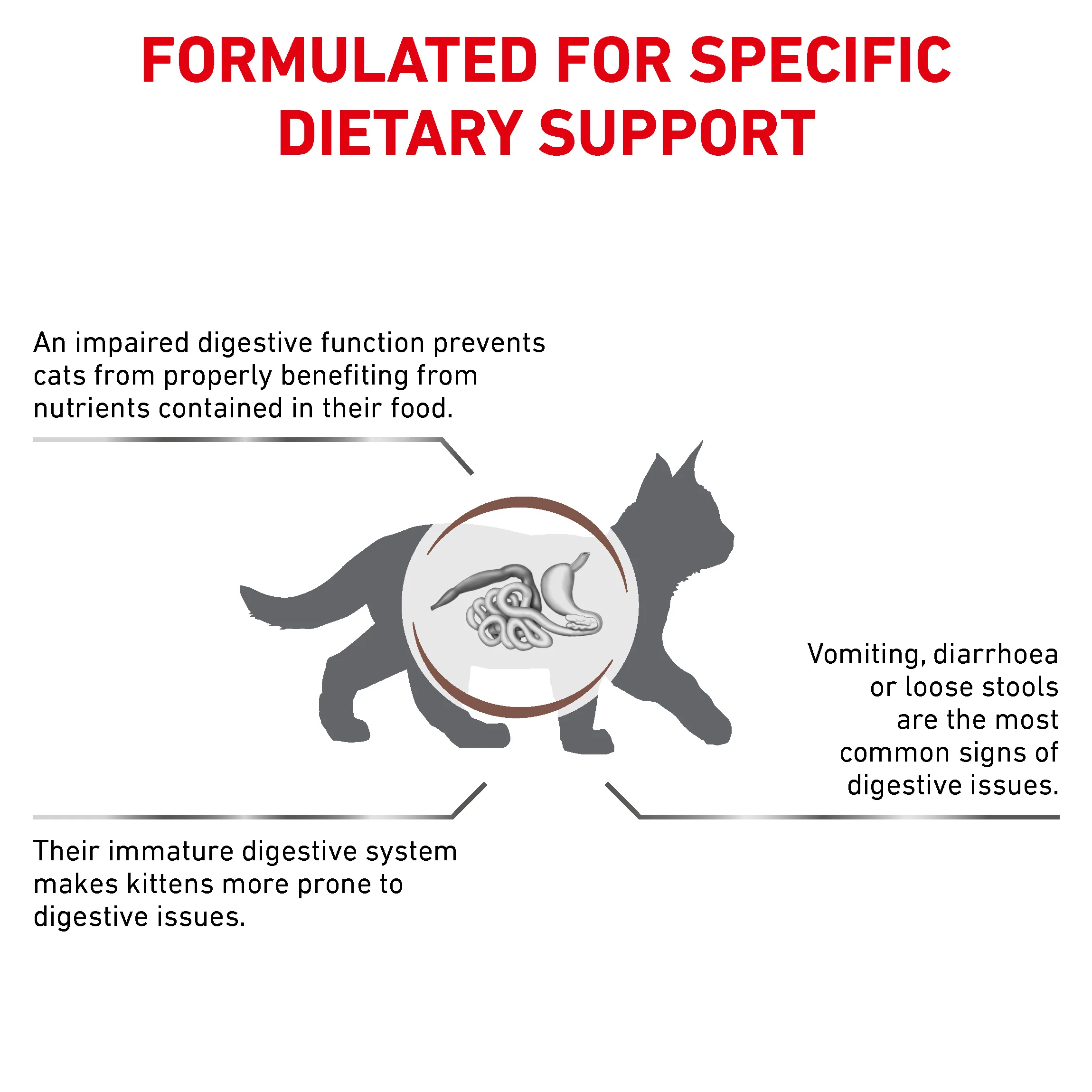 Royal Canin Gastrointestinal Kitten Dry Cat Food - Image 2