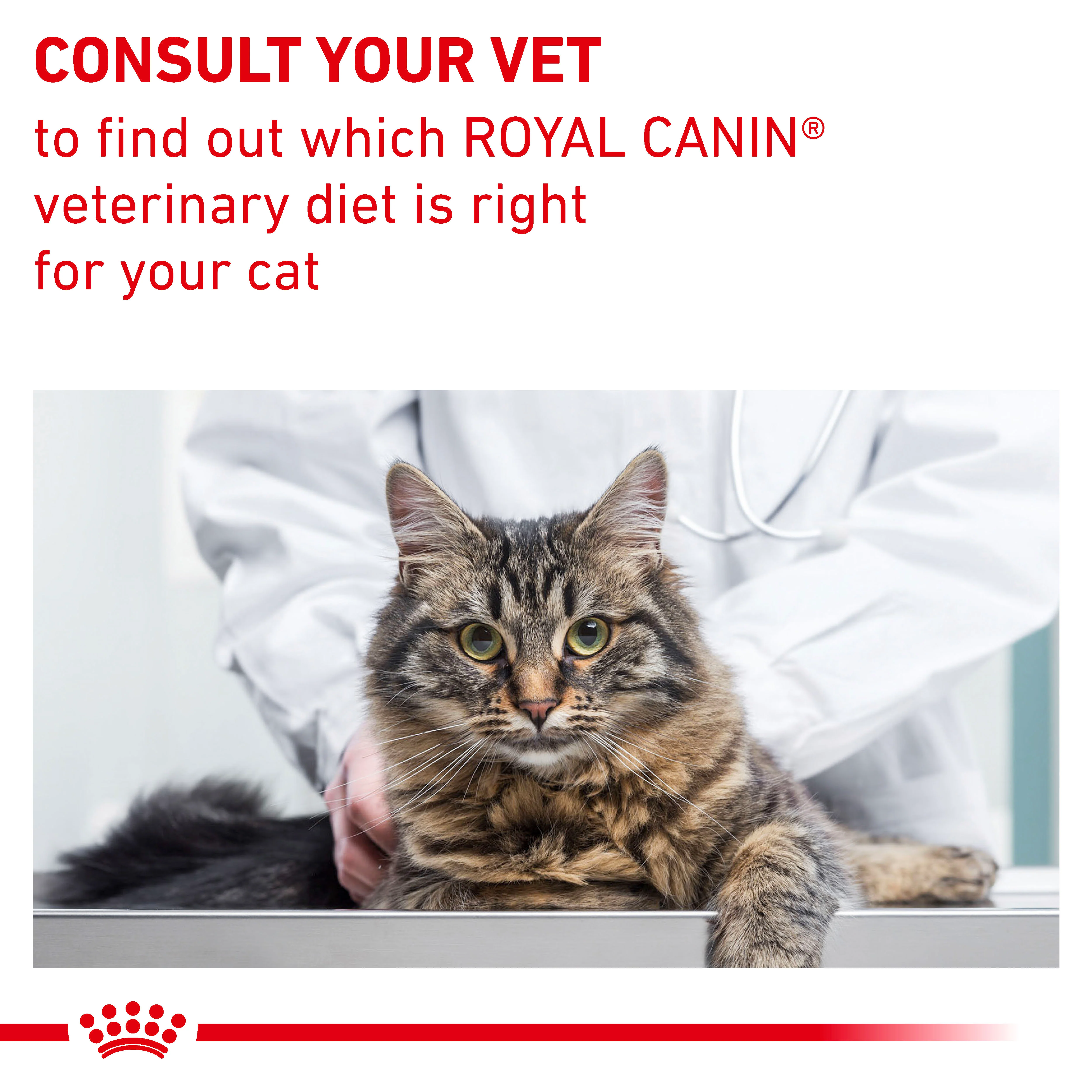 Royal Canin Neutered Balance Thin Slices in Gravy Adult Wet Cat Food 12 x 85g - Image 3