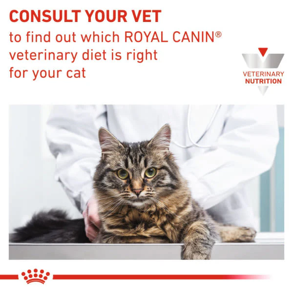 Royal Canin Veterinary Health Nutrition Feline Renal Select Adult Dry Cat Food - Image 3