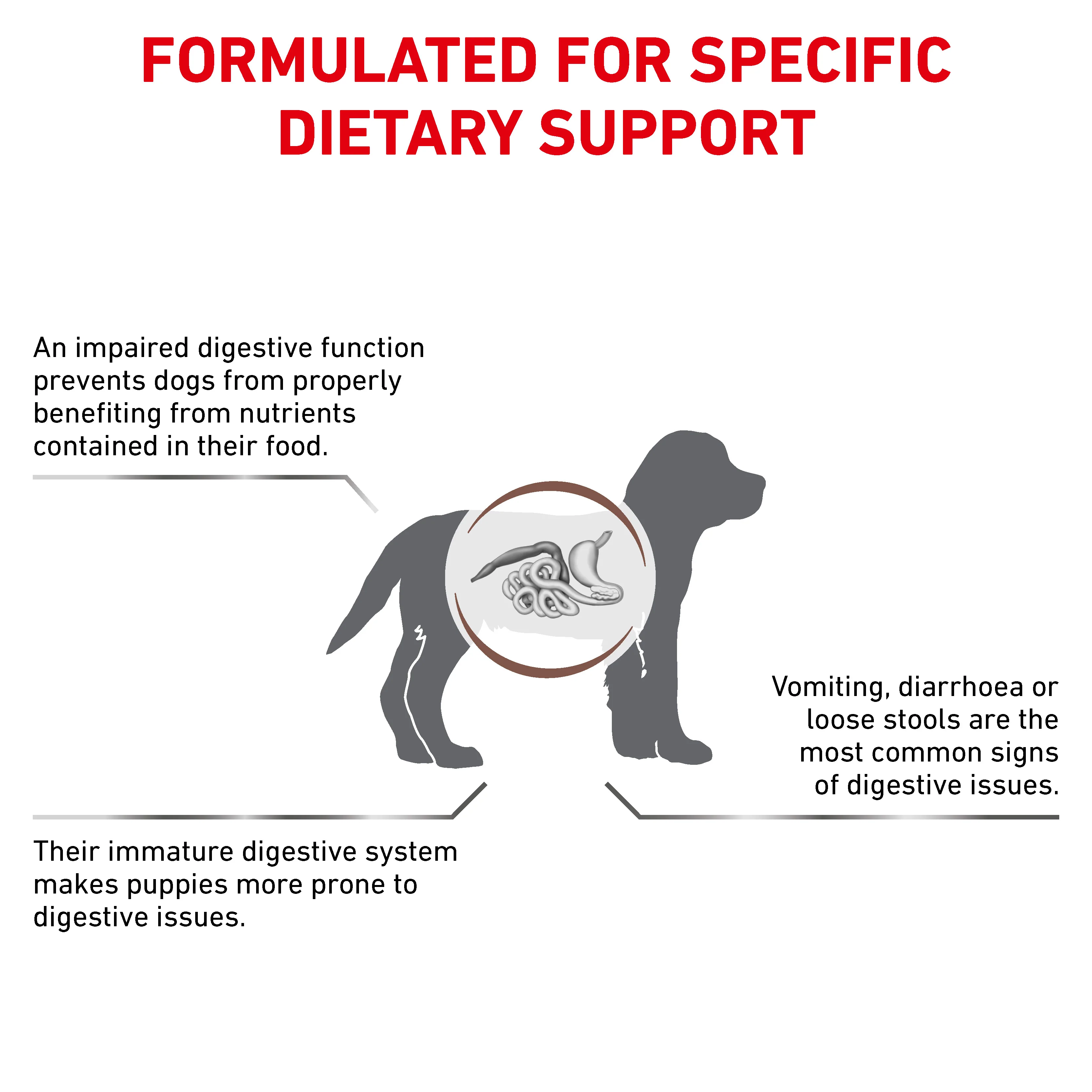 Royal Canin Gastrointestinal Puppy Dry Dog Food - Image 2
