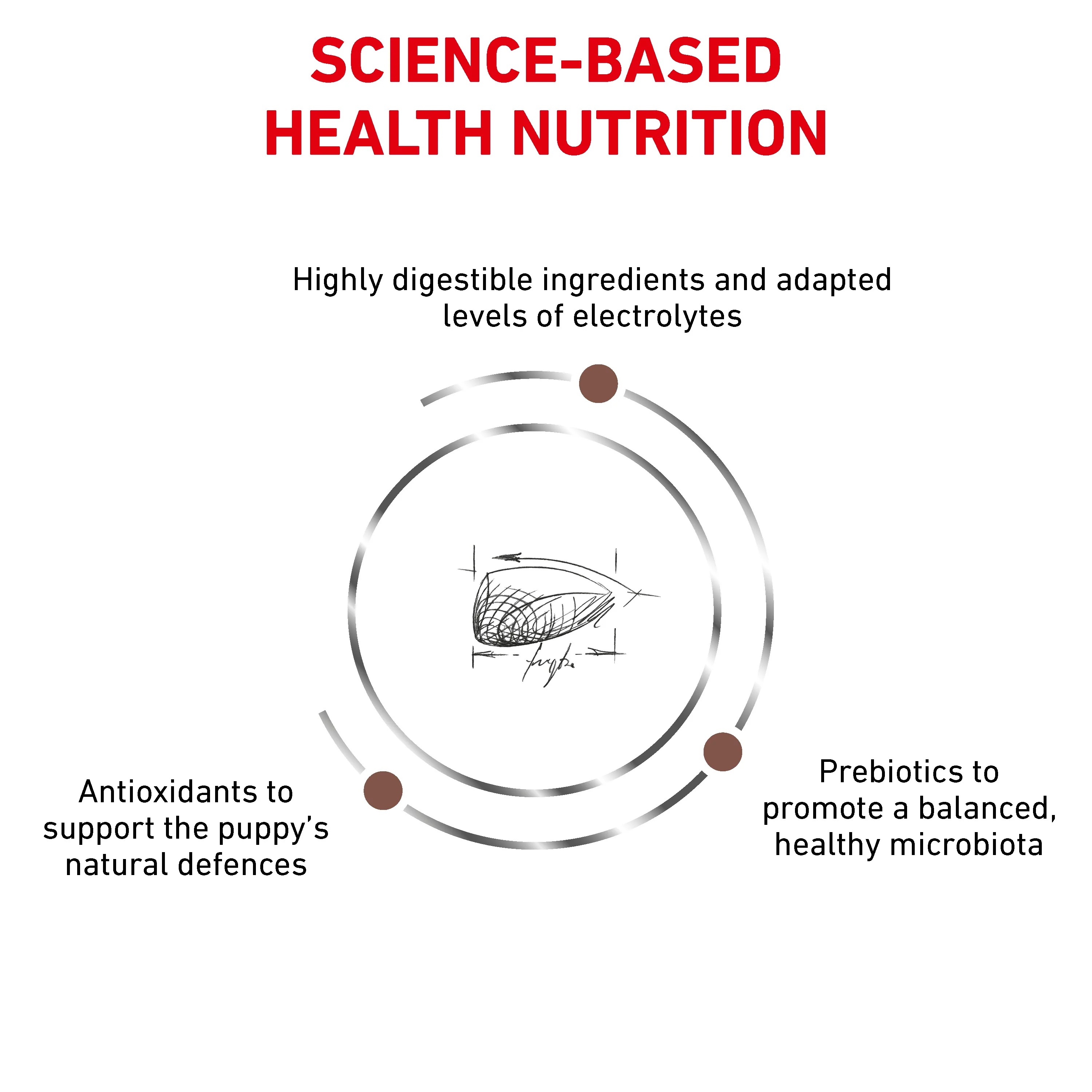 Royal Canin Gastrointestinal Puppy Dry Dog Food - Image 3