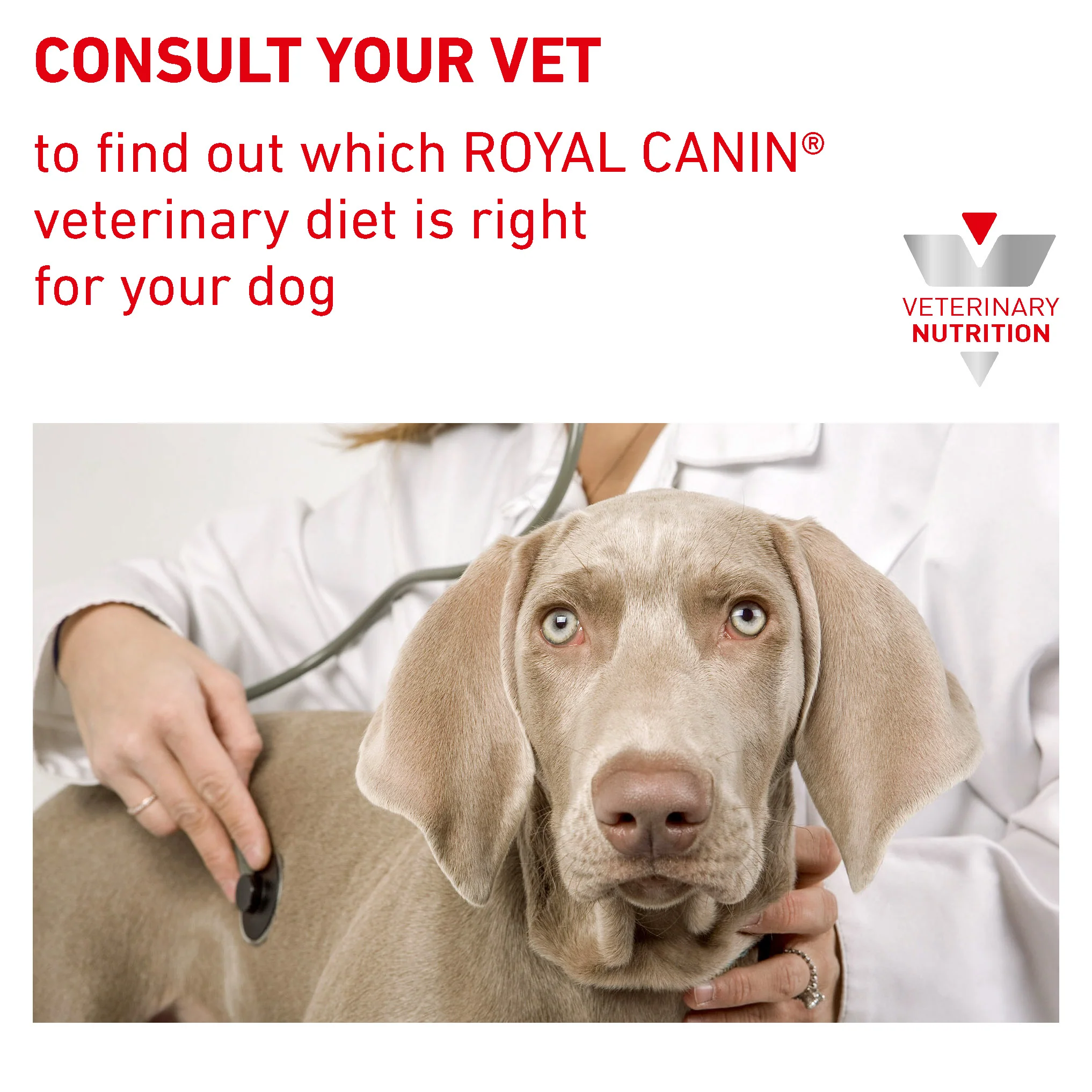 Royal Canin Gastrointestinal Puppy Dry Dog Food - Image 8