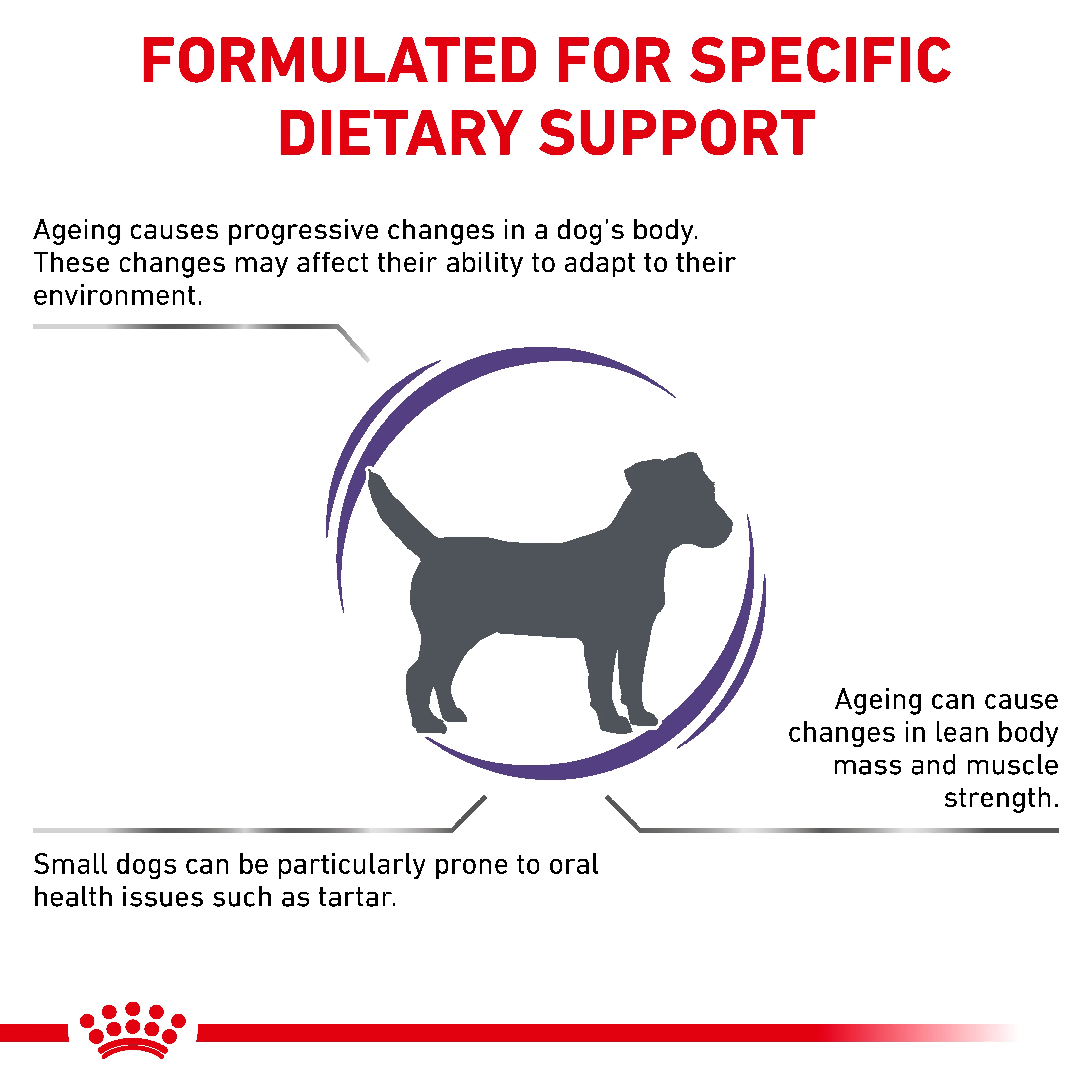Royal Canin Mature Consult Small Dog Senior Dry Dog Food - Image 4