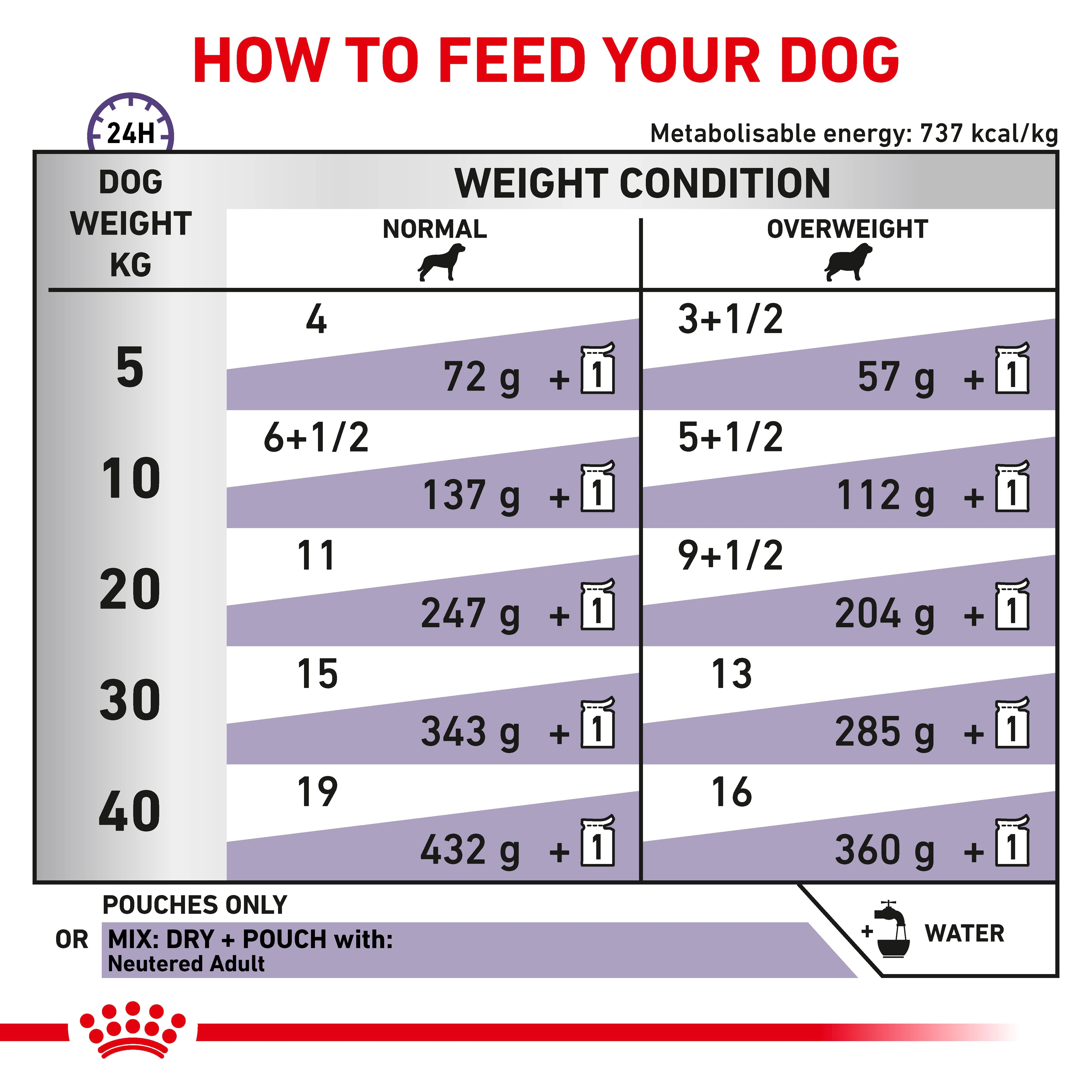 Royal Canin Neutered Adult Thin Slices In Gravy Adult Wet Dog Food 12 x 100g - Image 4