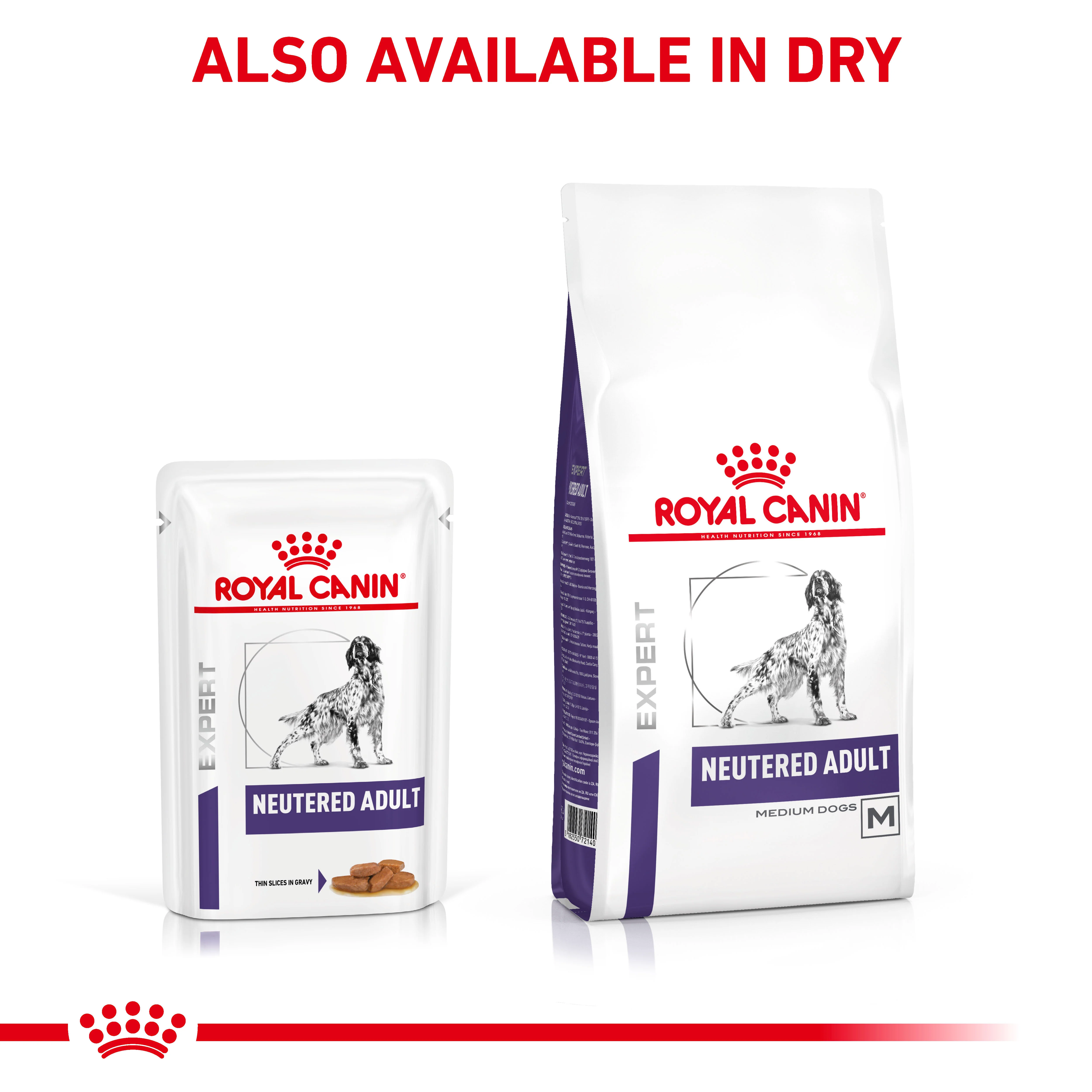 Royal Canin Neutered Adult Thin Slices In Gravy Adult Wet Dog Food 12 x 100g - Image 6