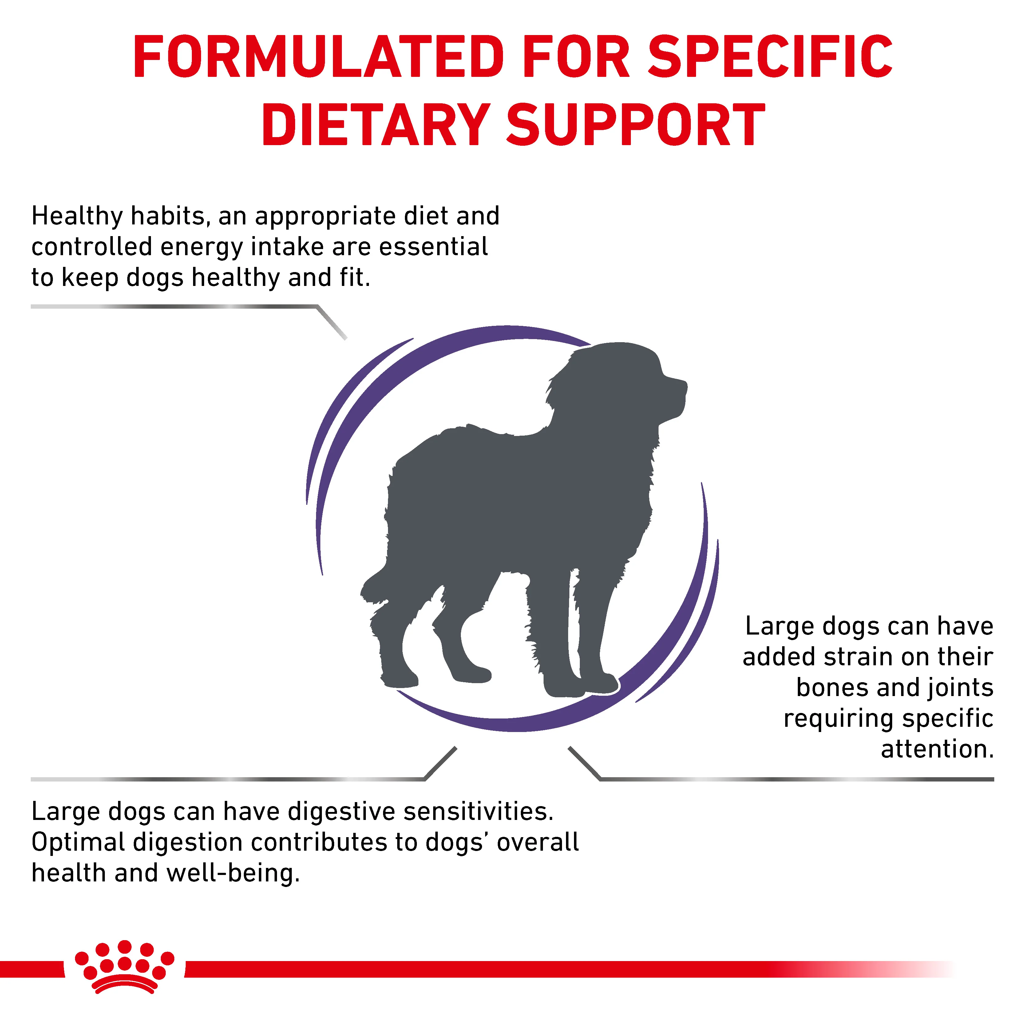 Royal Canin Adult Large Dog Adult Dry Dog Food - Image 2